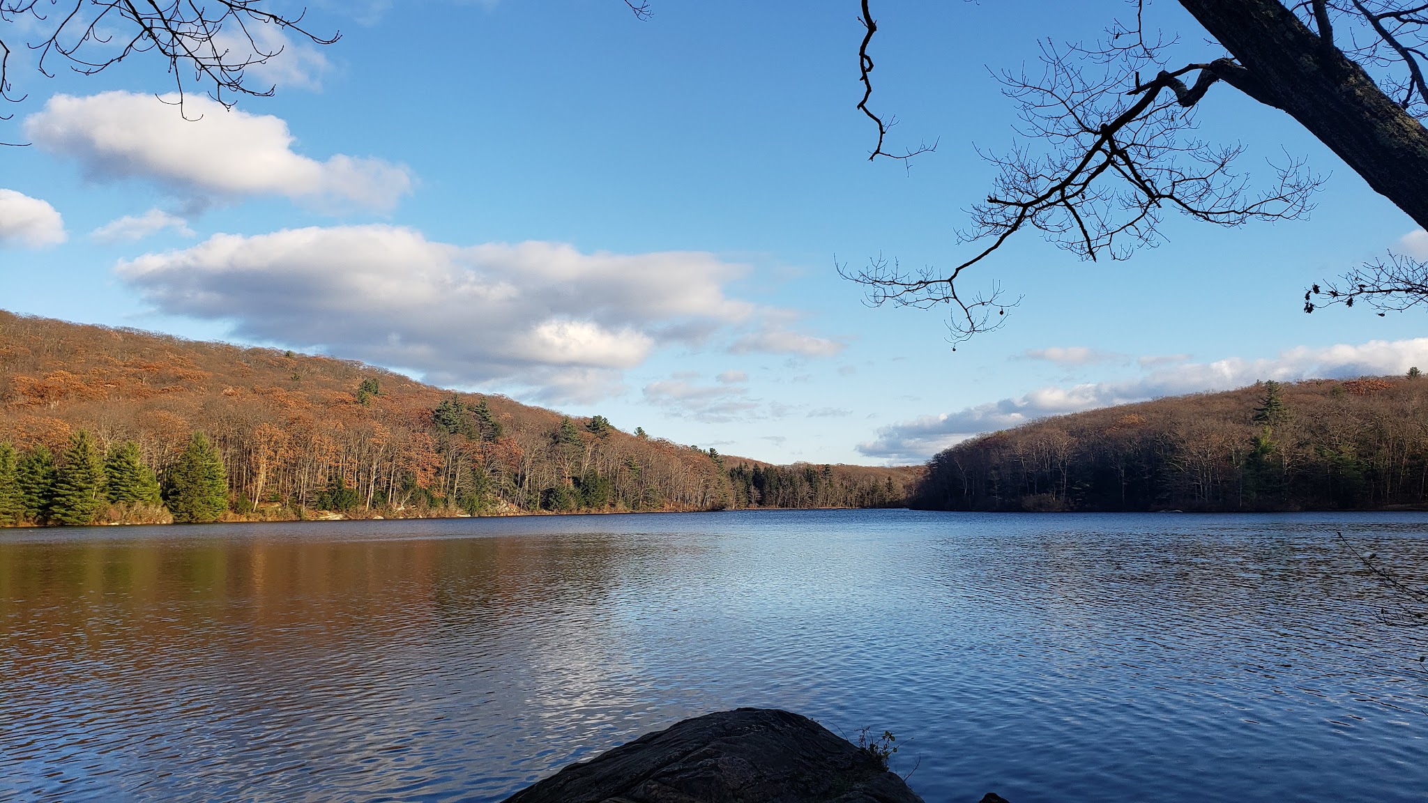 Beartown State Forest