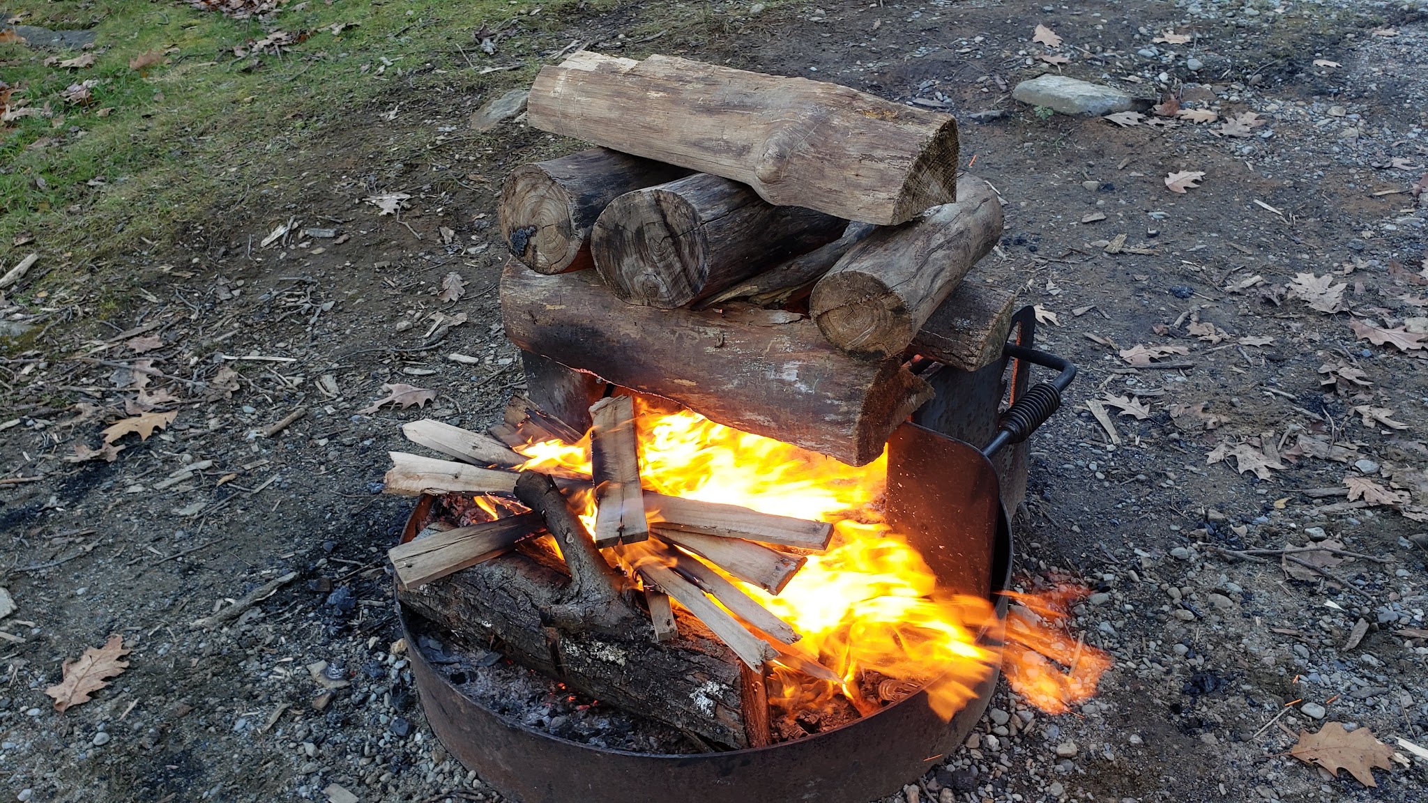 Beartown State Forest