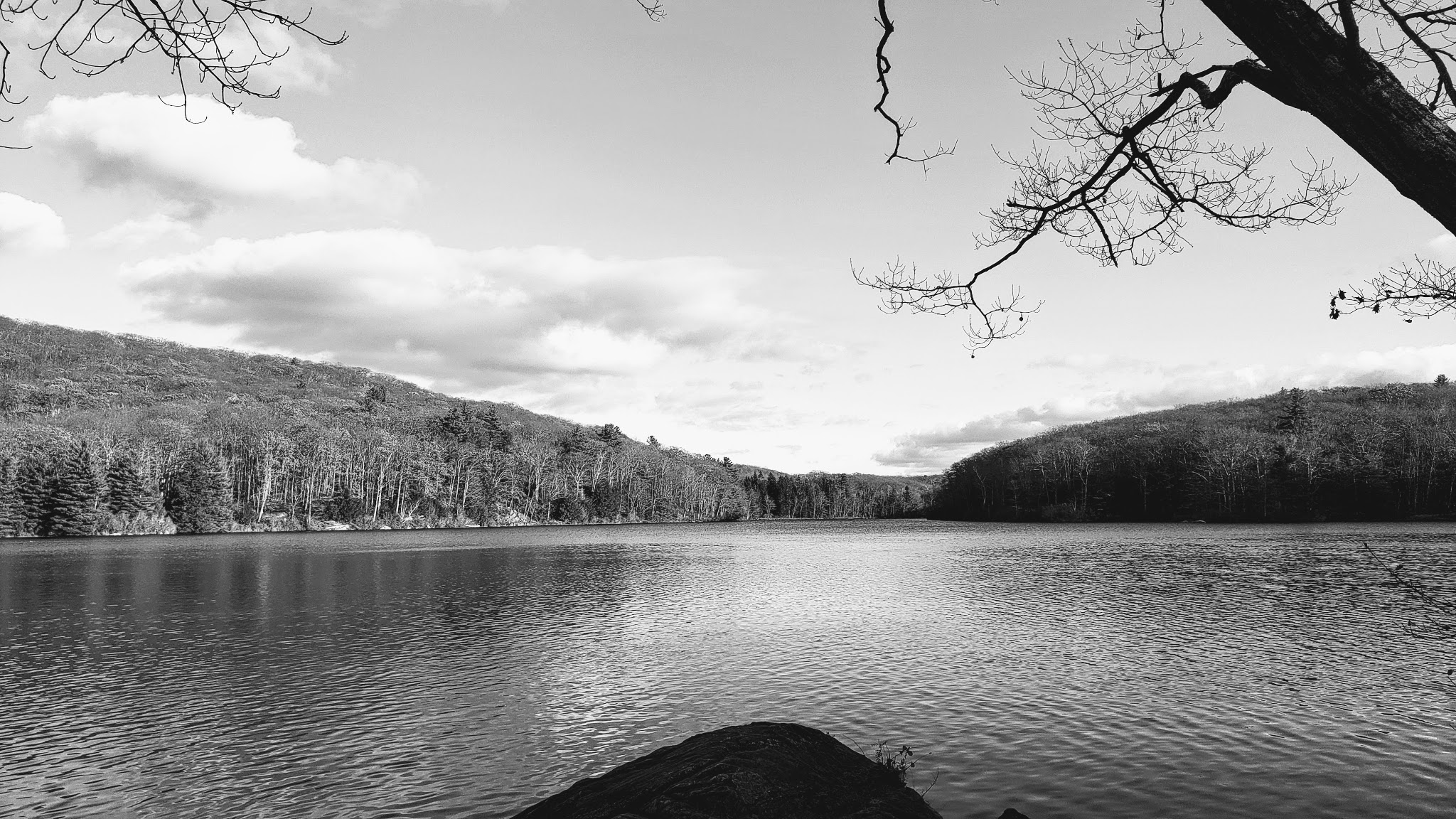 Beartown State Forest