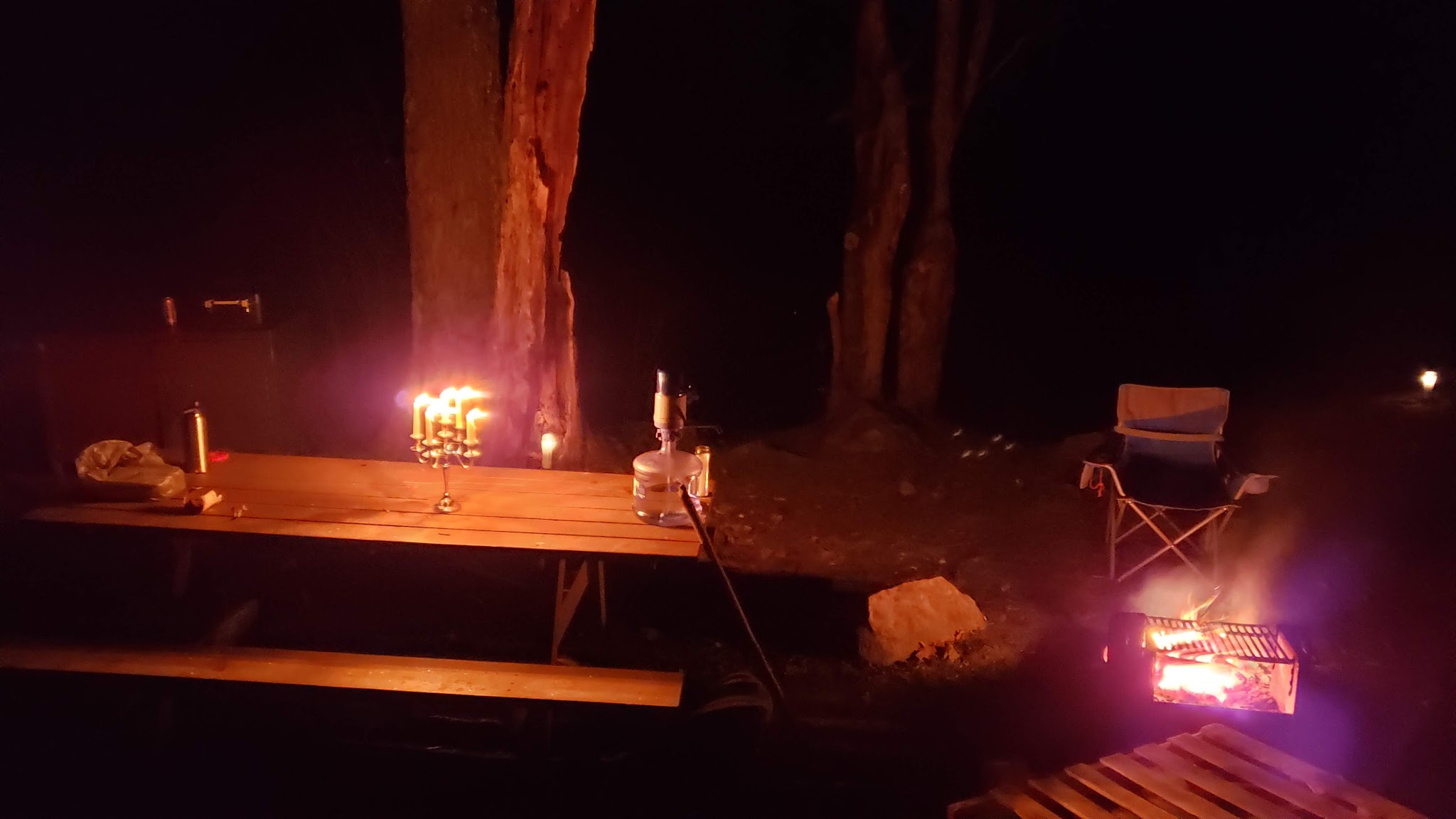 Beartown State Forest