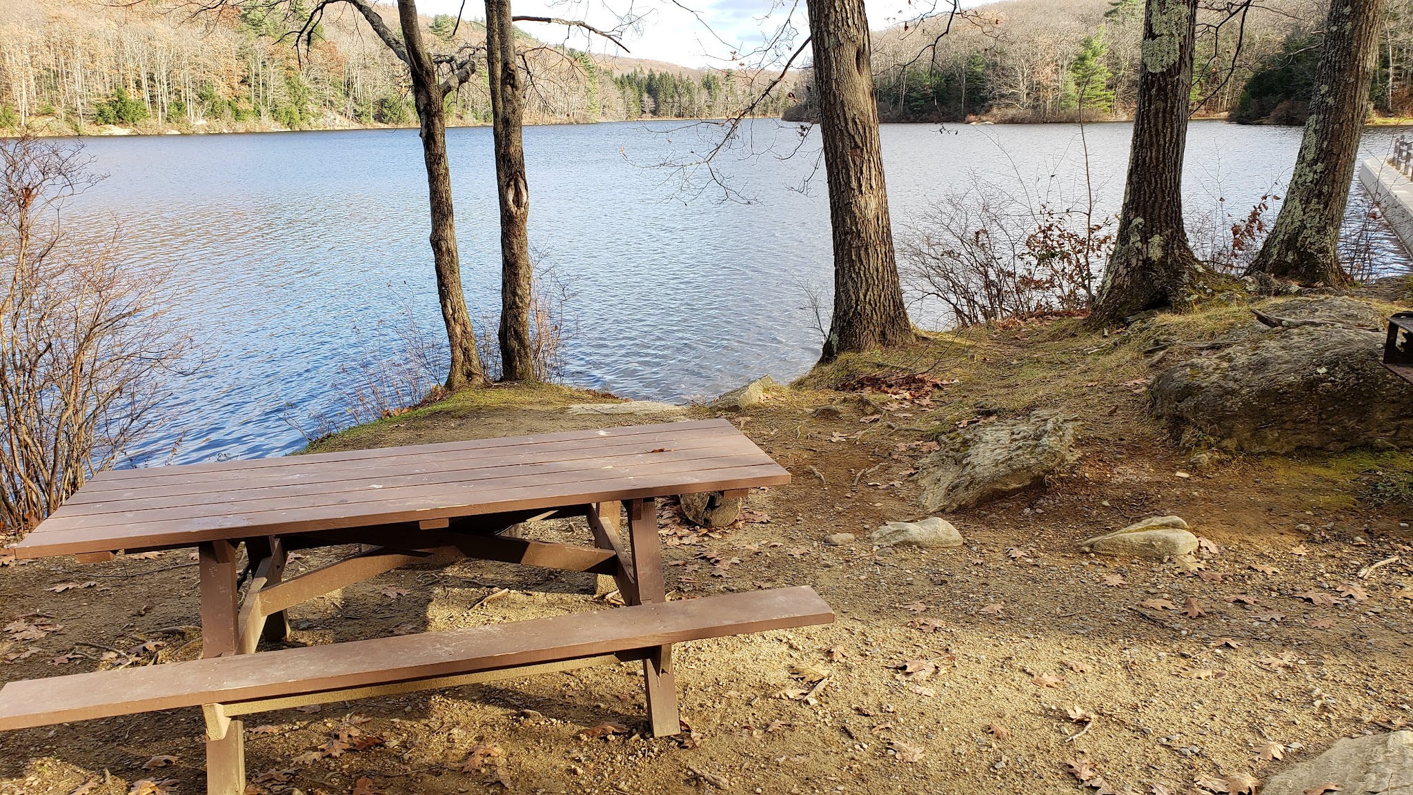 Beartown State Forest