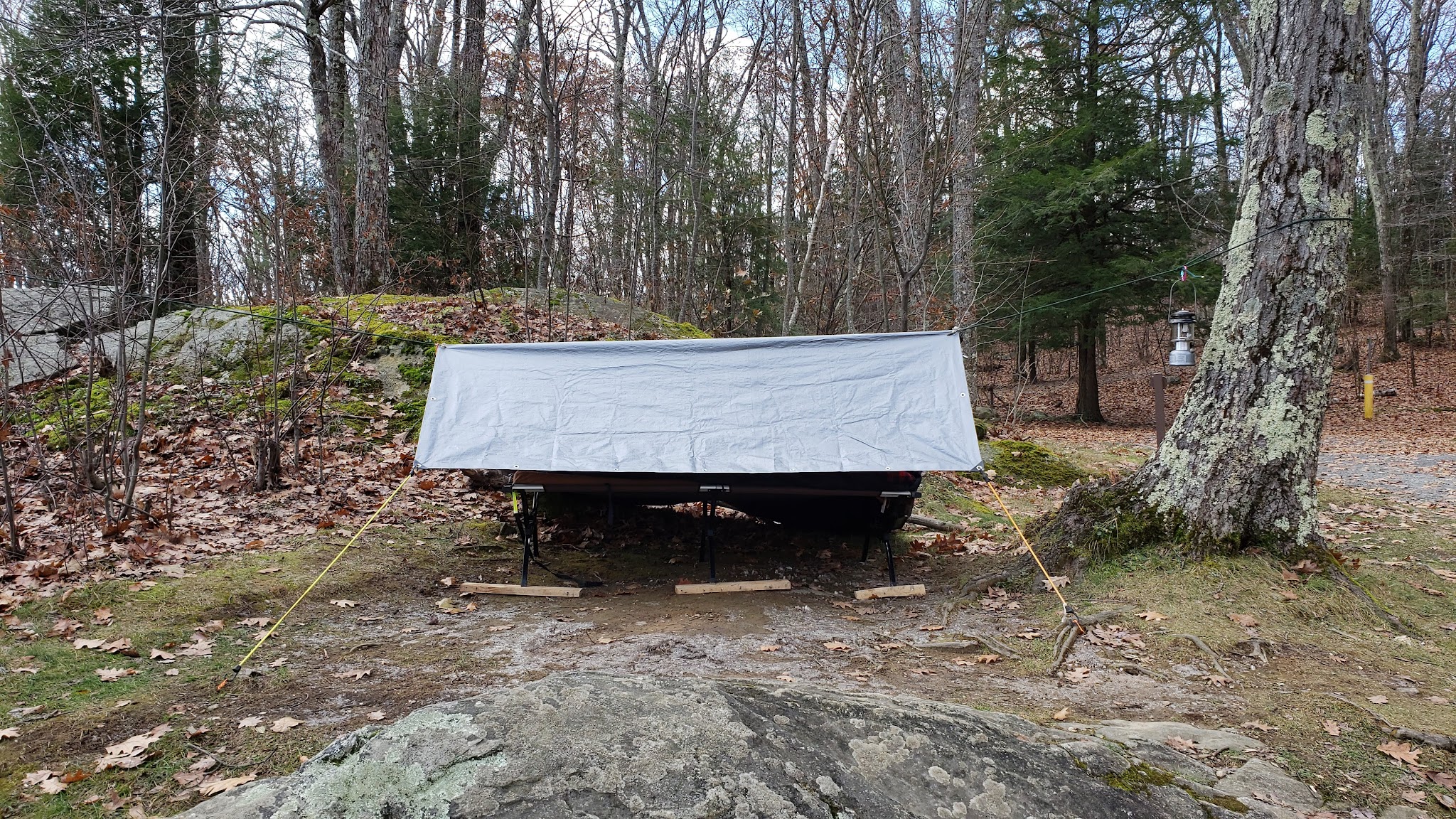 Beartown State Forest