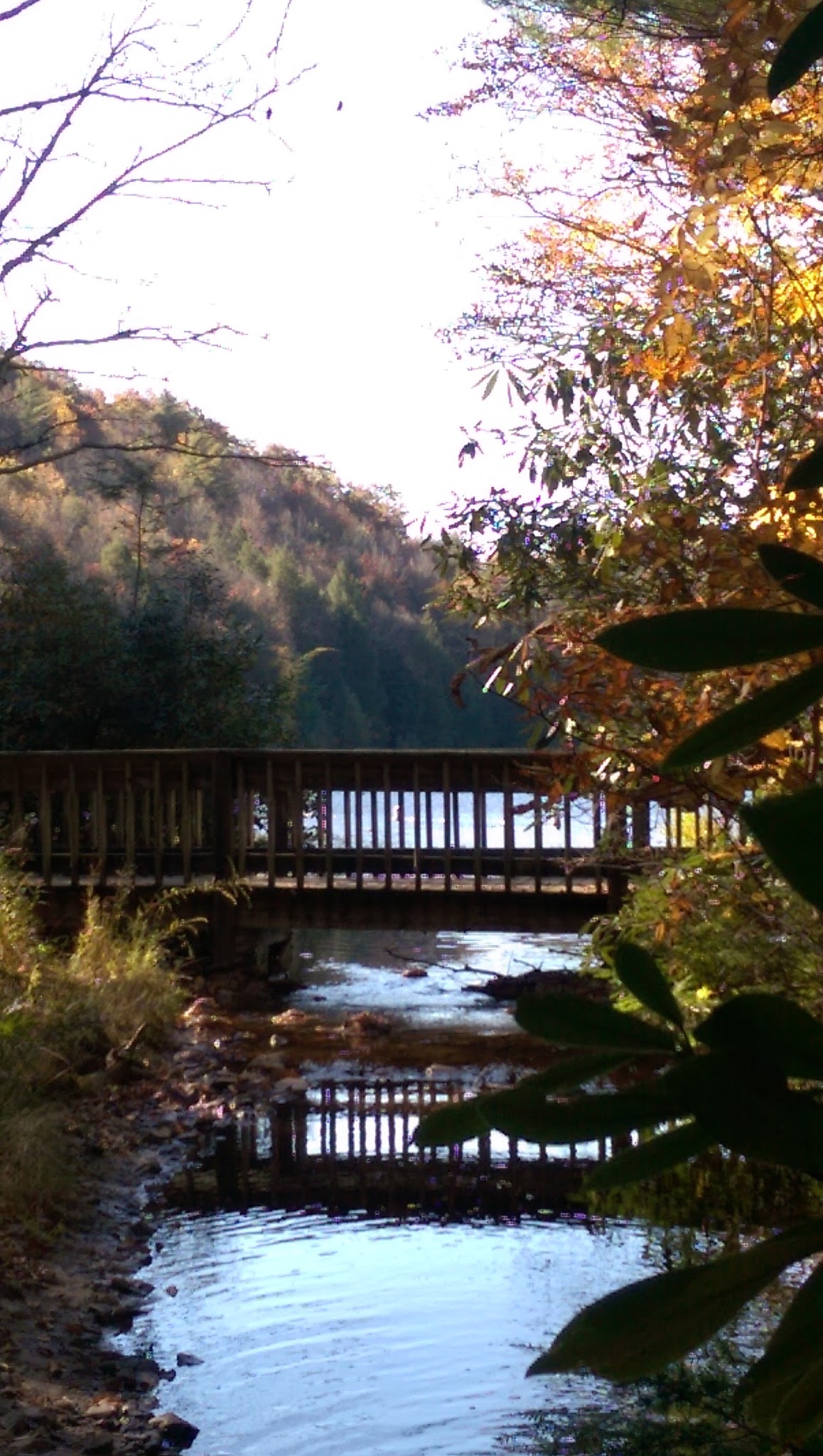 Beartree Recreation Area