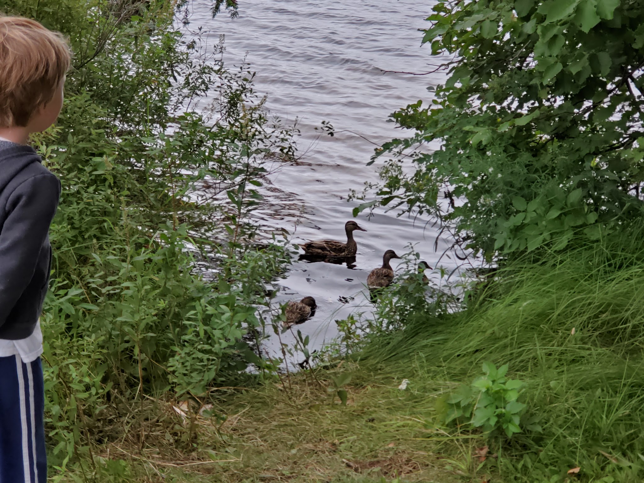 Beaufort Lake State Forest Campground