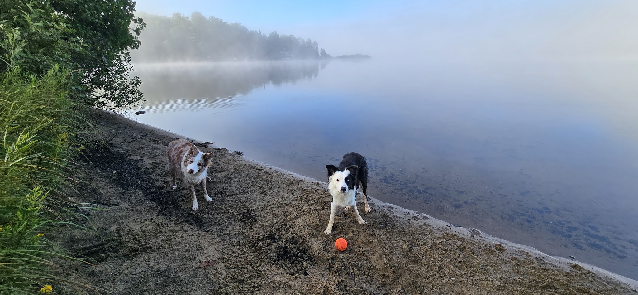Beaufort Lake State Forest Campground