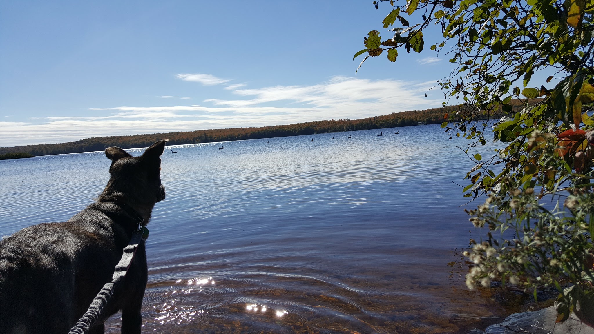 Beaufort Lake State Forest Campground