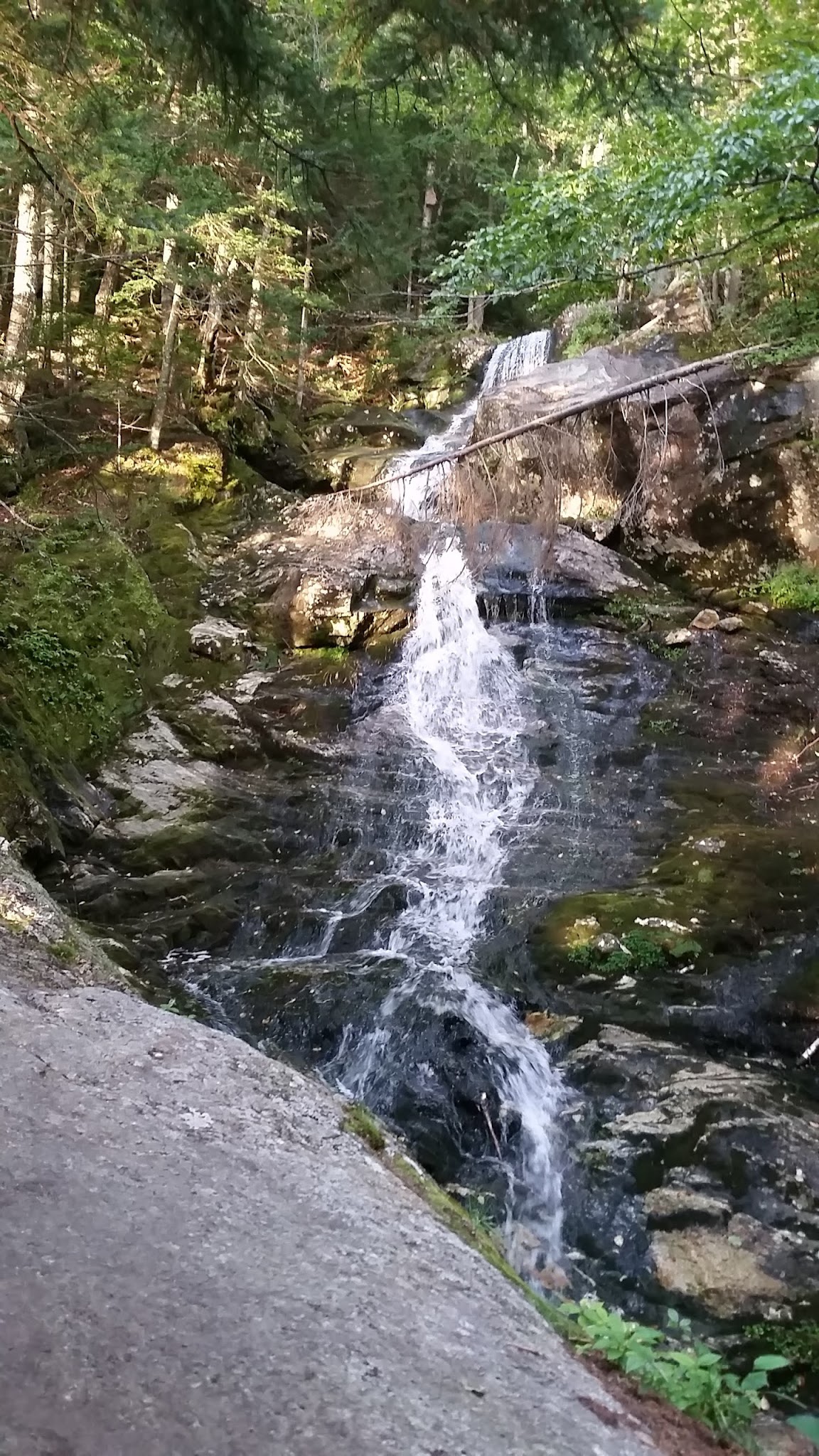 Beaver Brook Shelter