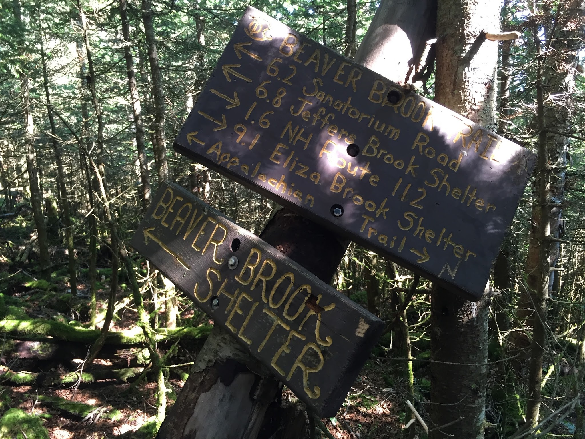 Beaver Brook Shelter