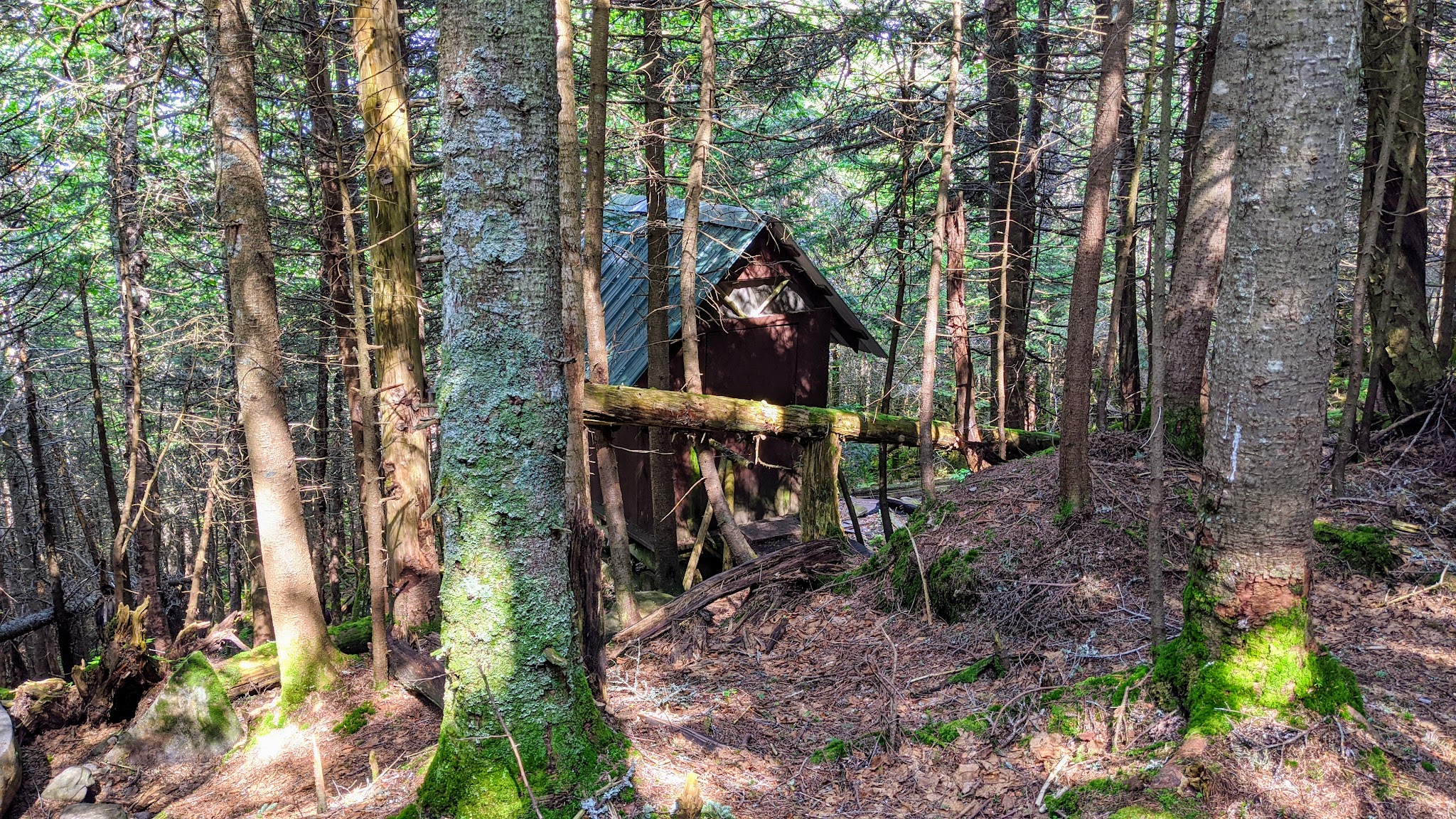 Beaver Brook Shelter