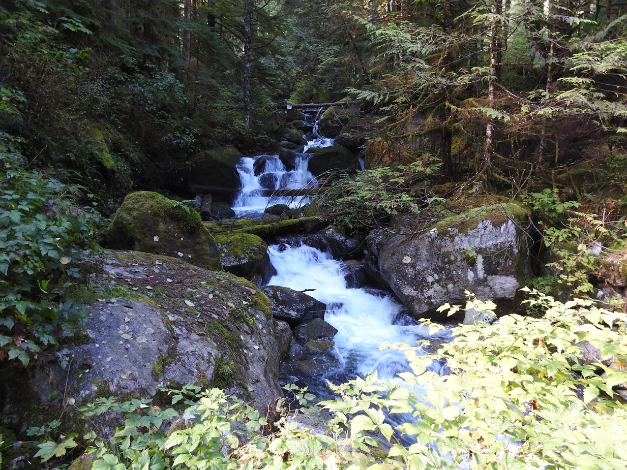 Beaver Creek Group Camp (Mt. Baker-Snoqualmie National Forest, Wa)