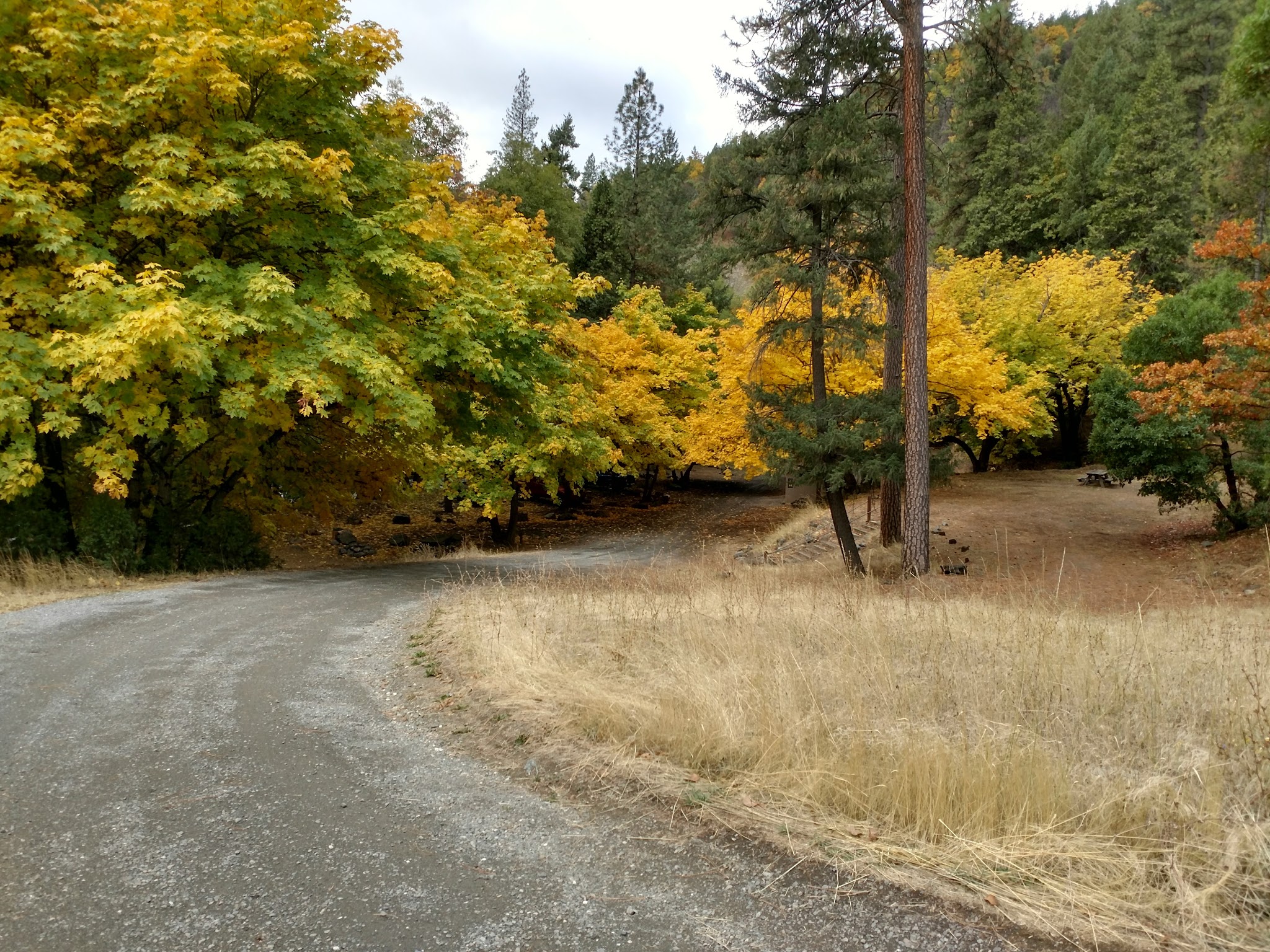 Beaver Creek Campground