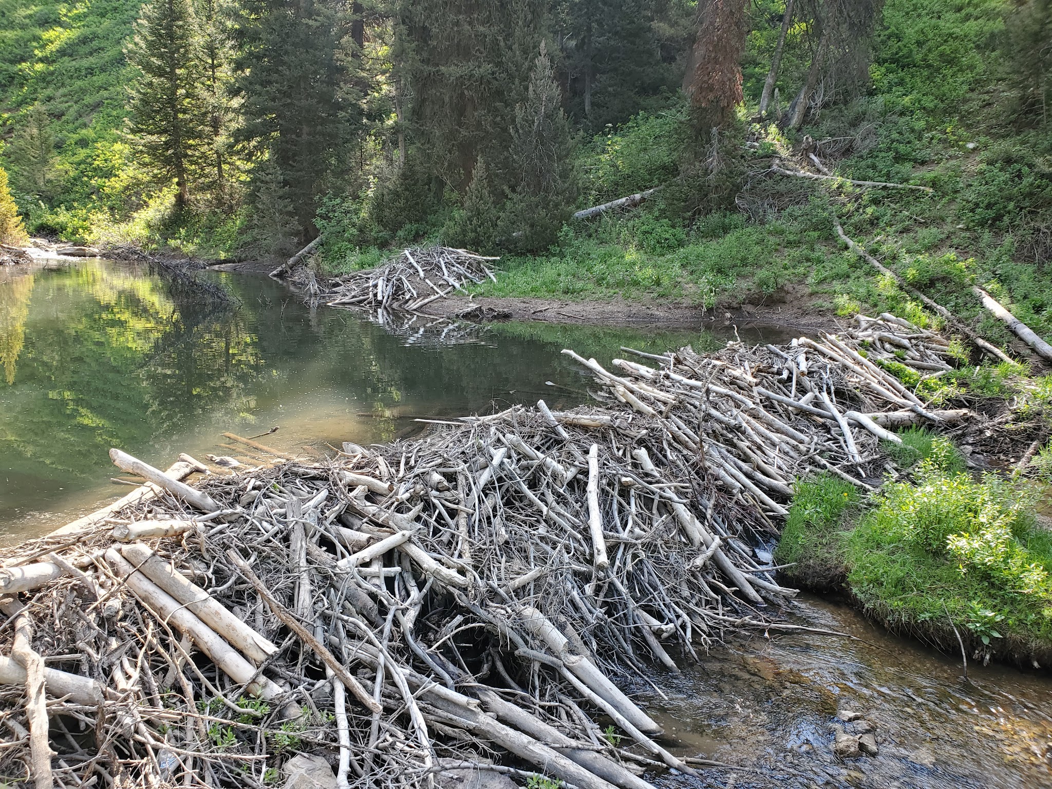 Beaver Creek Campground