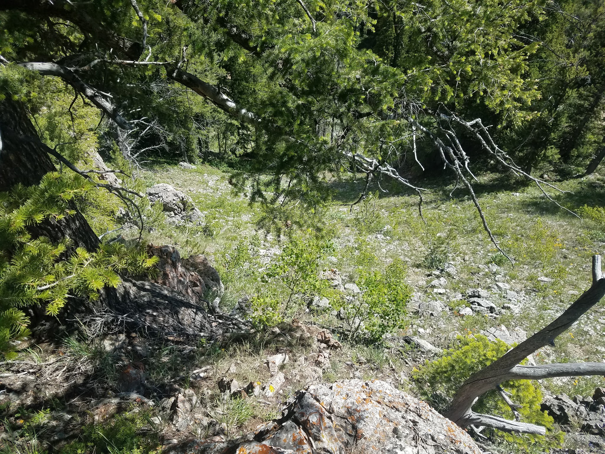 Beaver Creek Campground