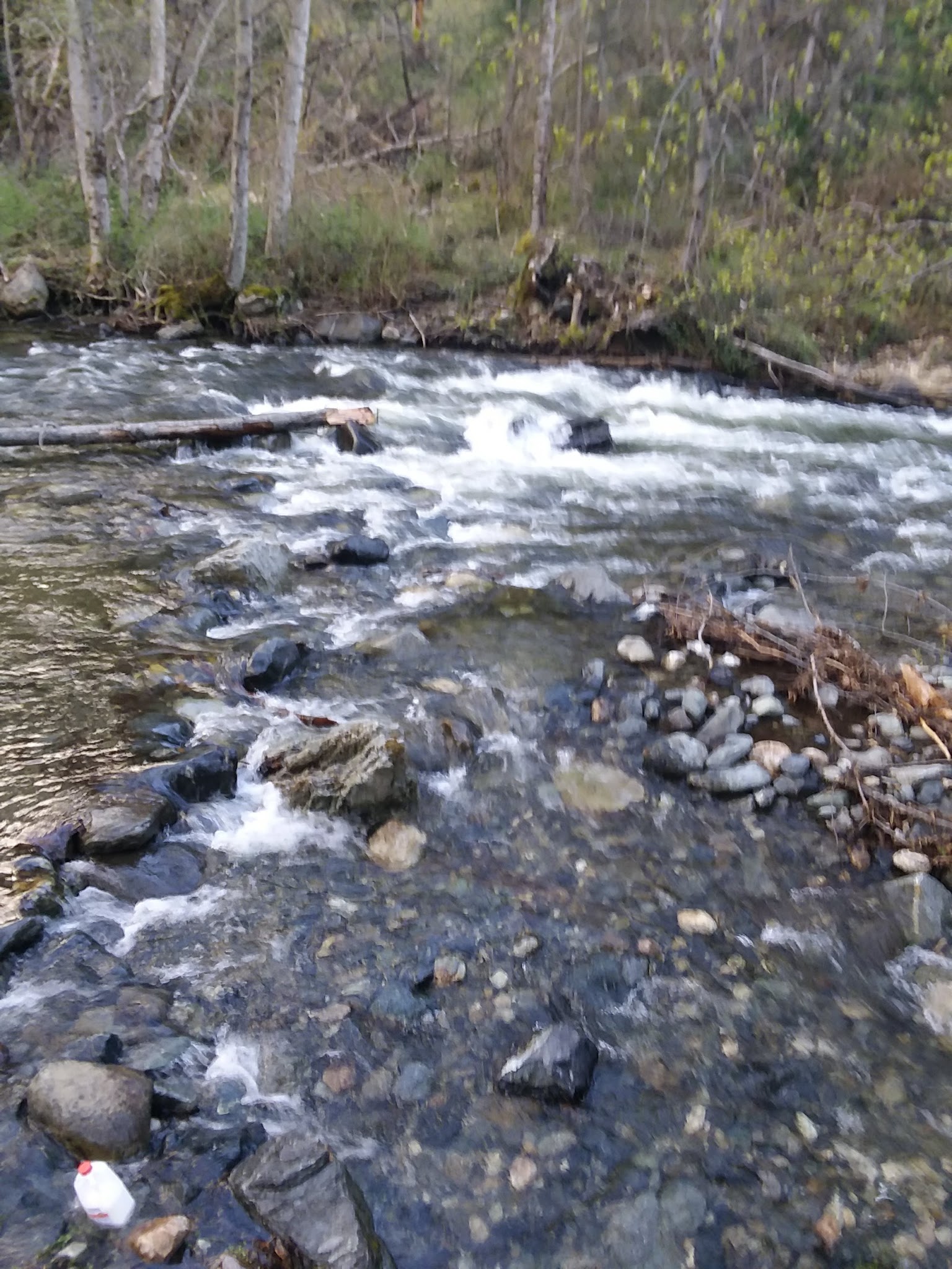 Beaver Creek Campground