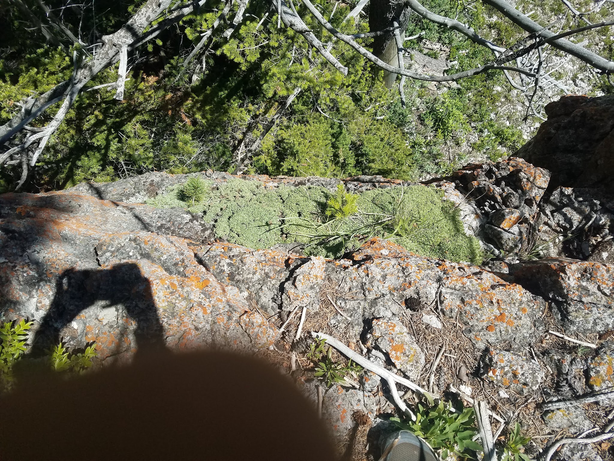 Beaver Creek Campground