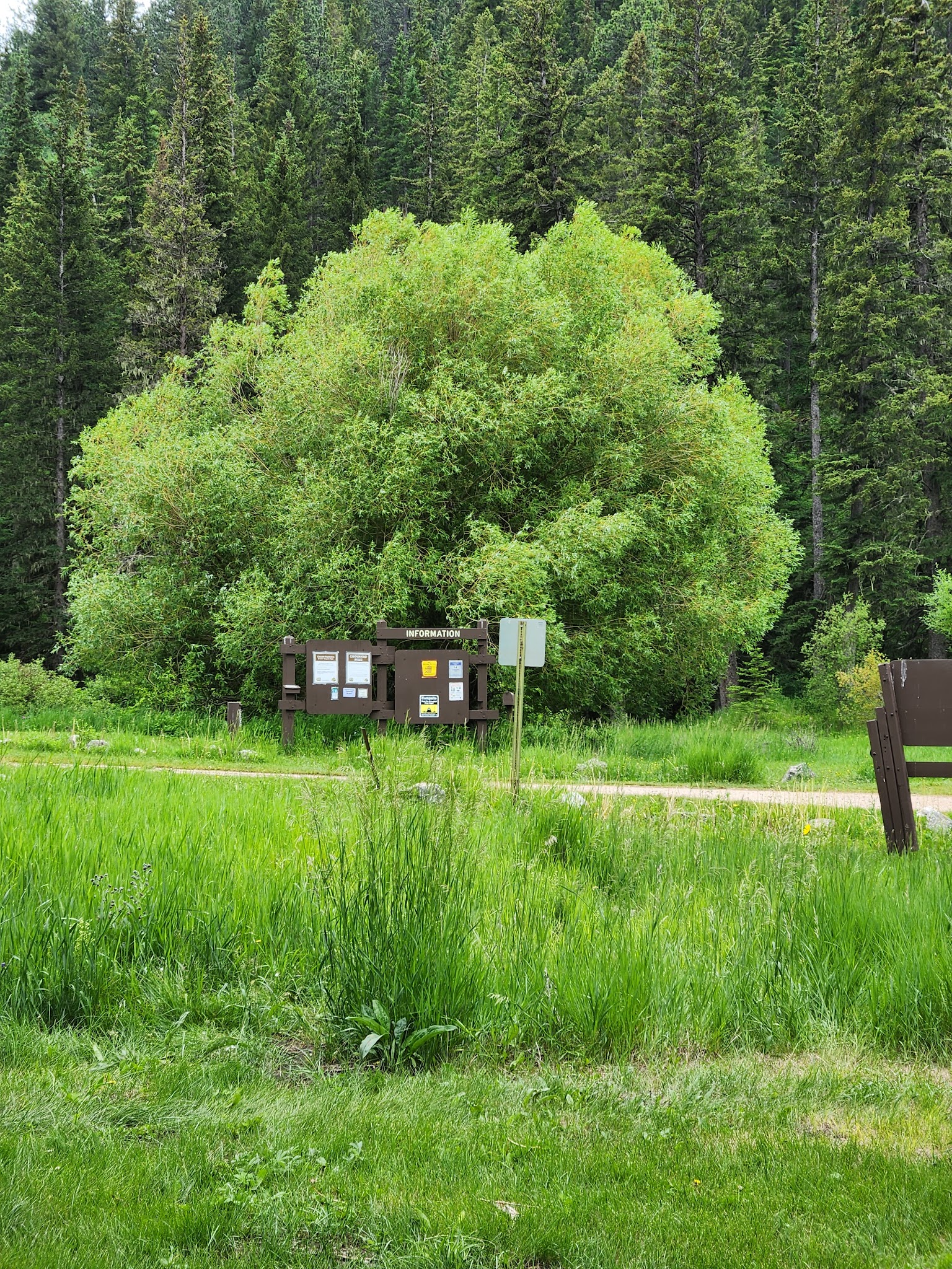 Beaver Creek Campground