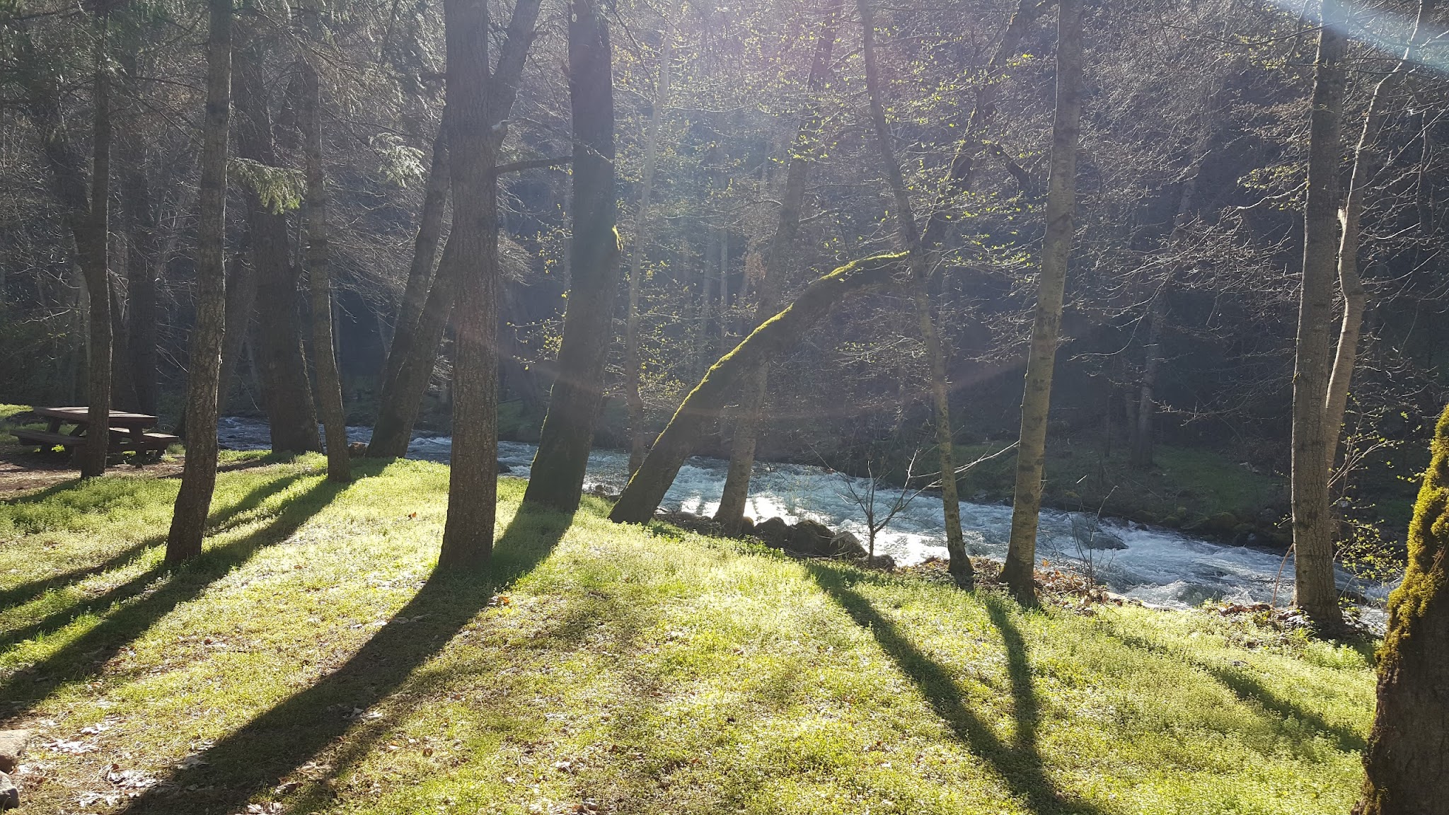 Beaver Creek Campground
