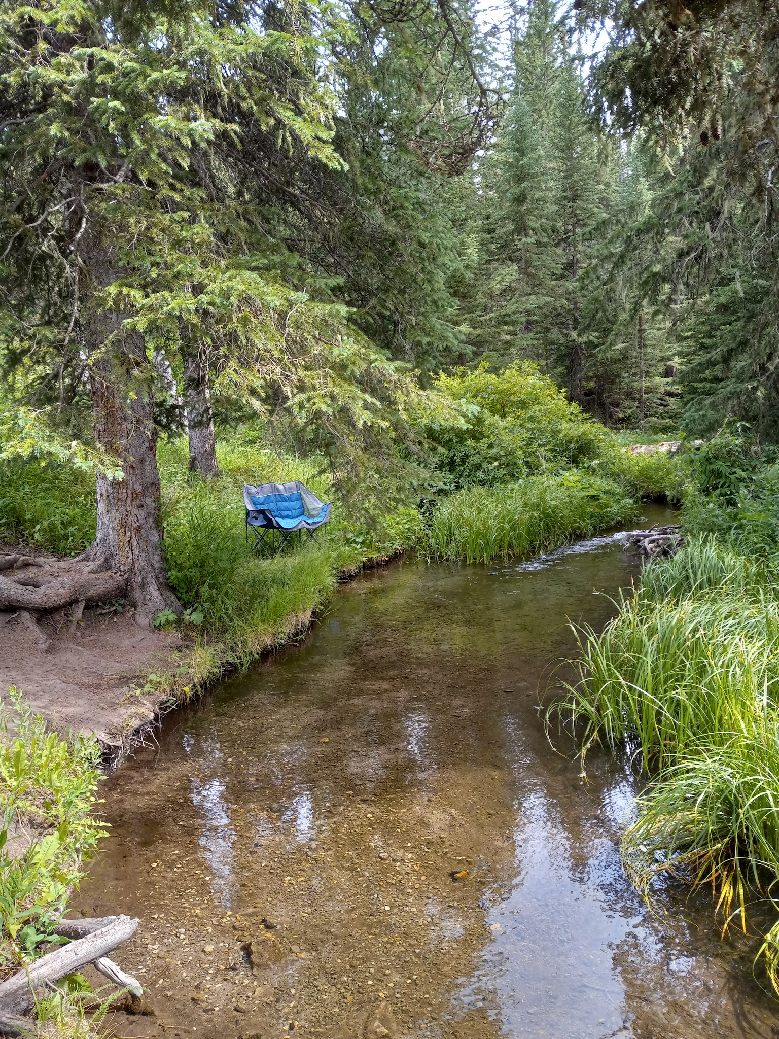 Beaver Creek Campground