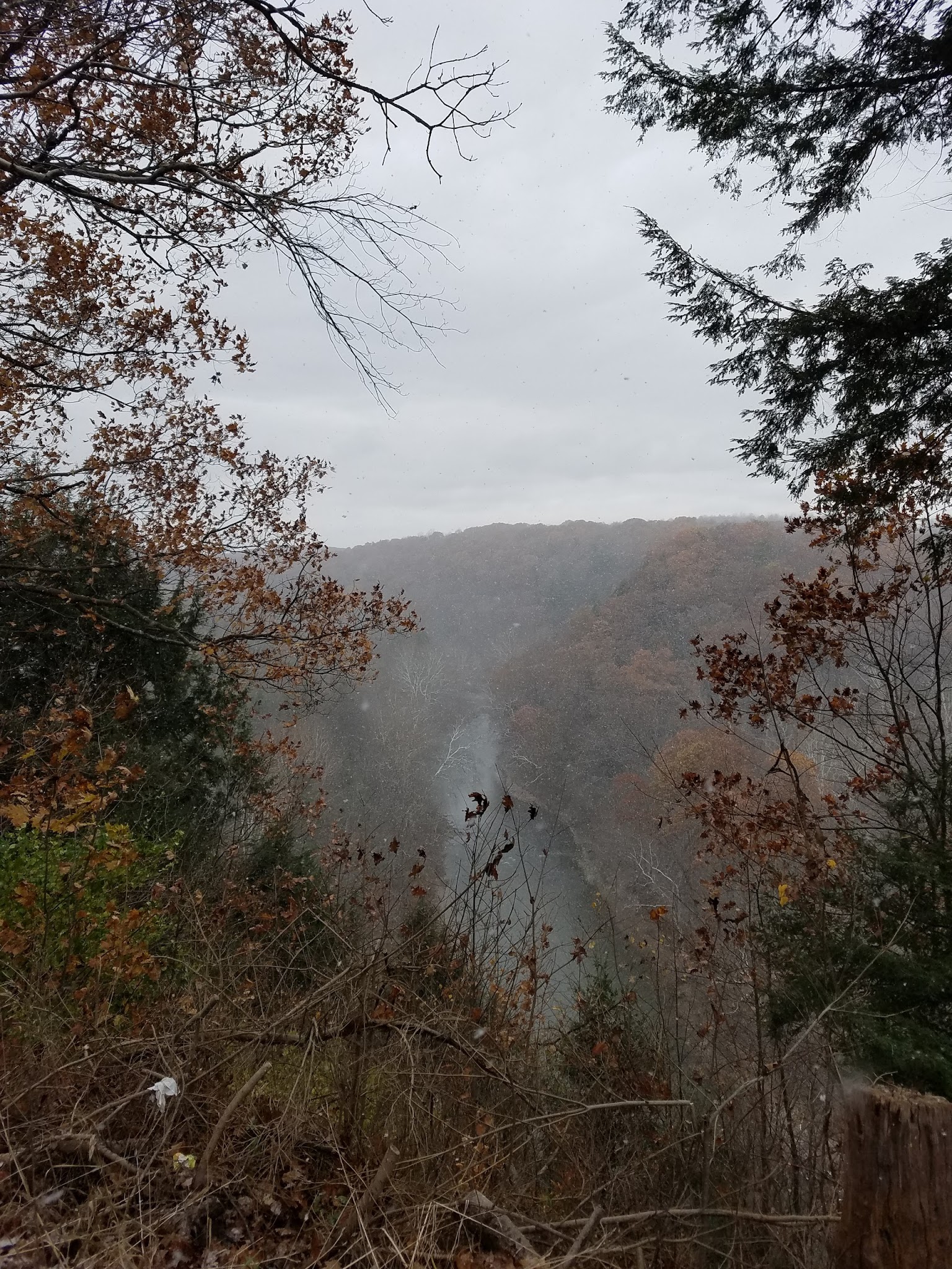 Beaver Creek Group Campground