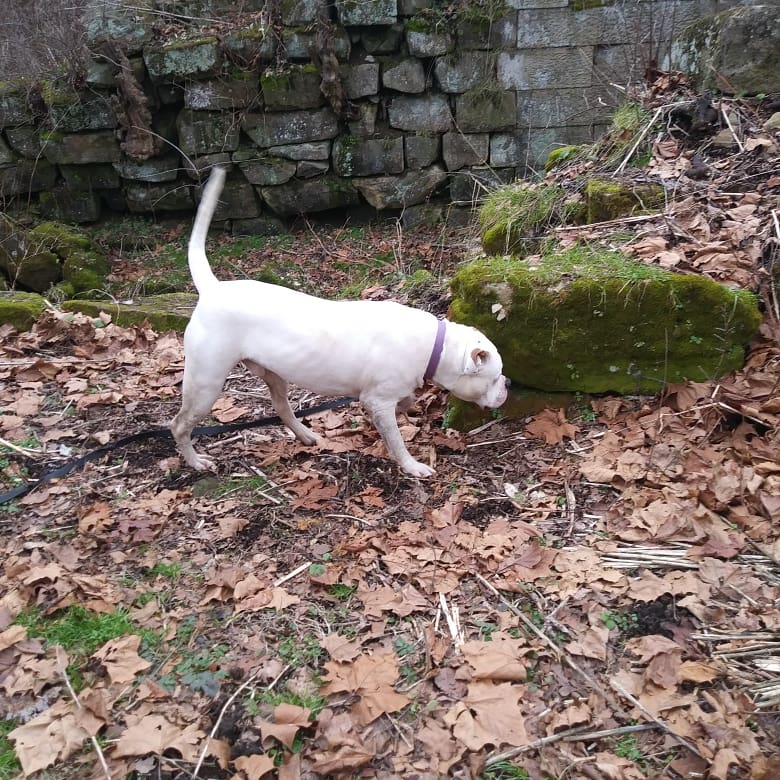 Beaver Creek Group Campground