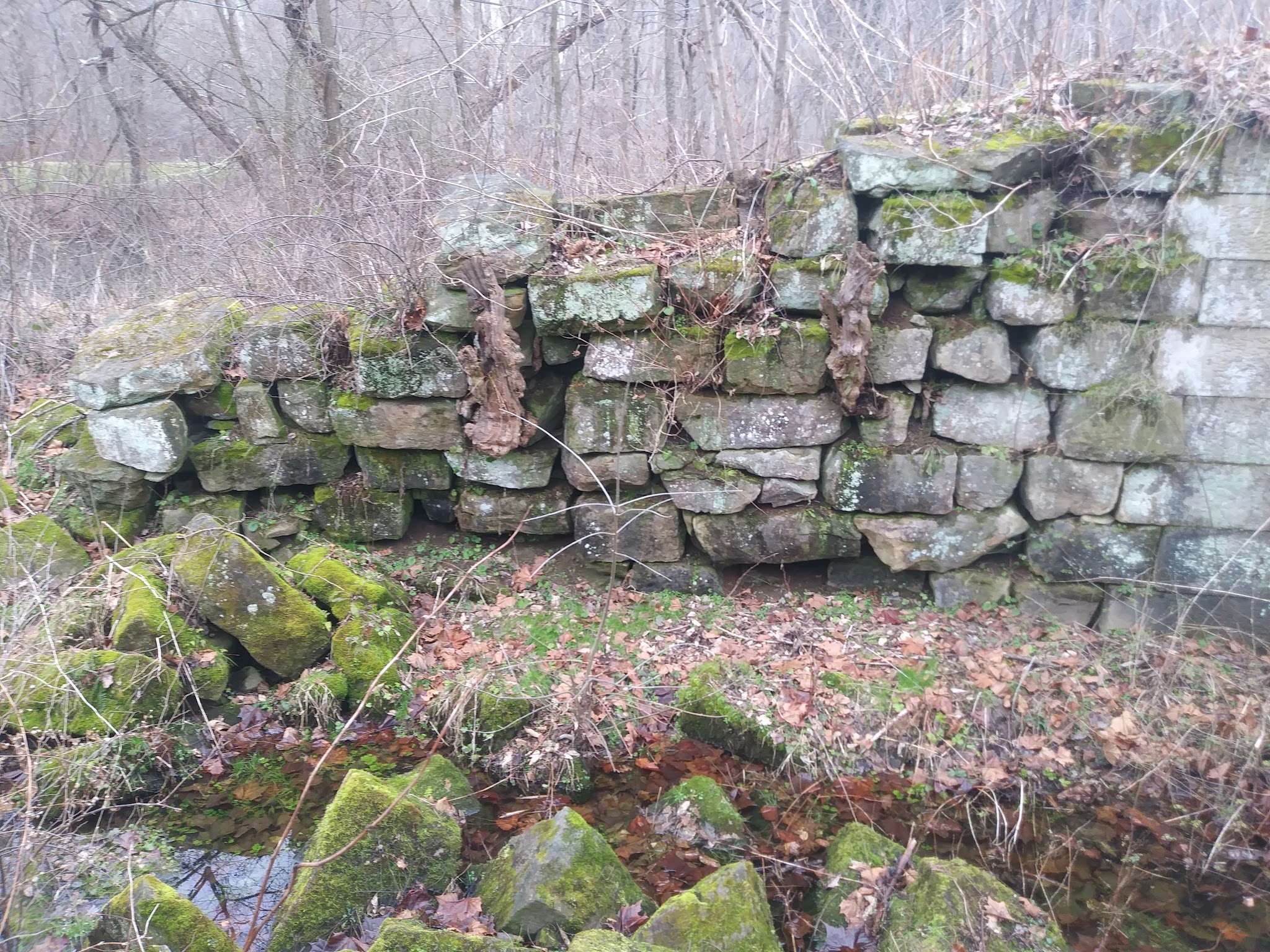 Beaver Creek Group Campground