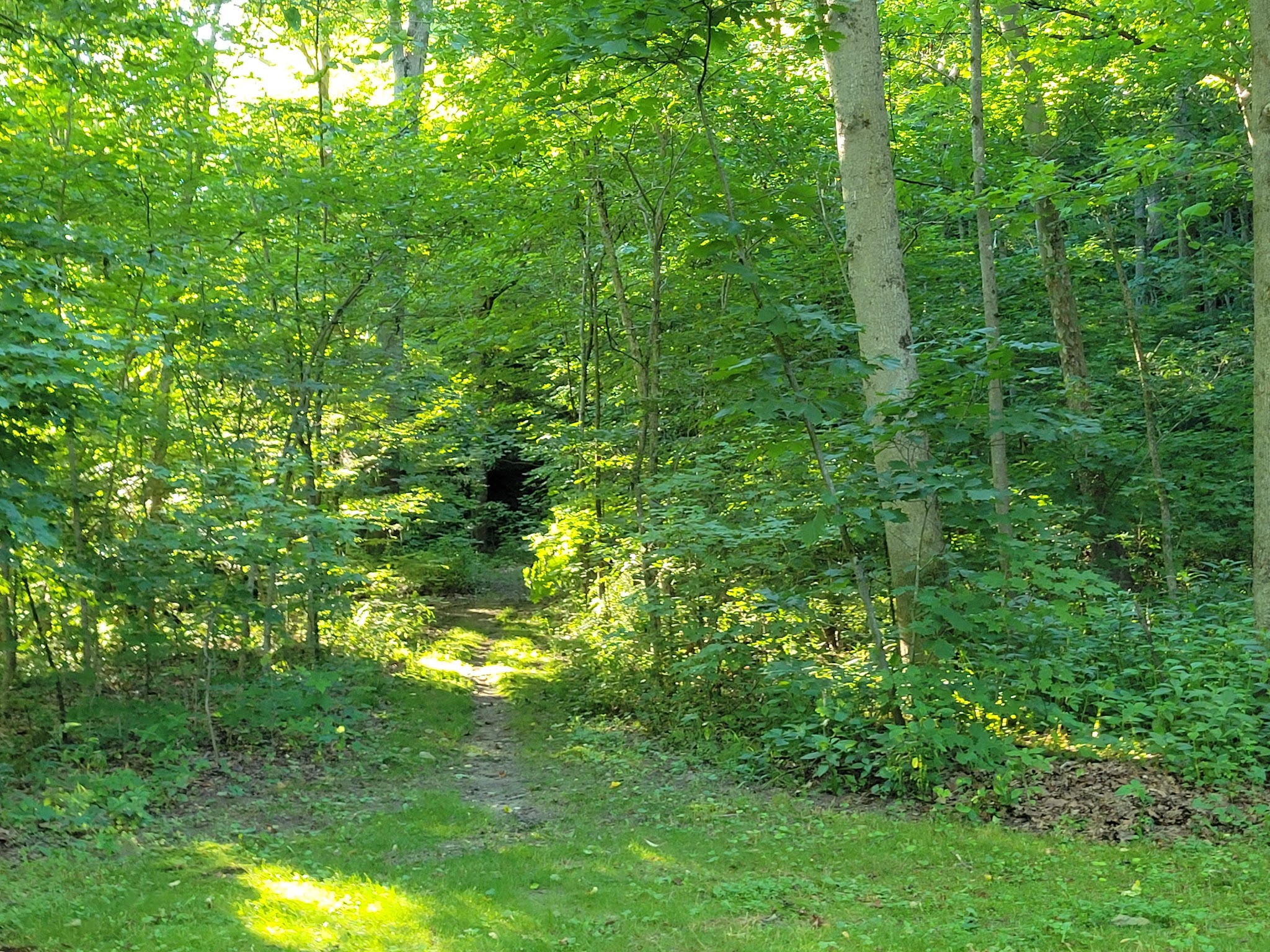 Beaver Creek Group Campground