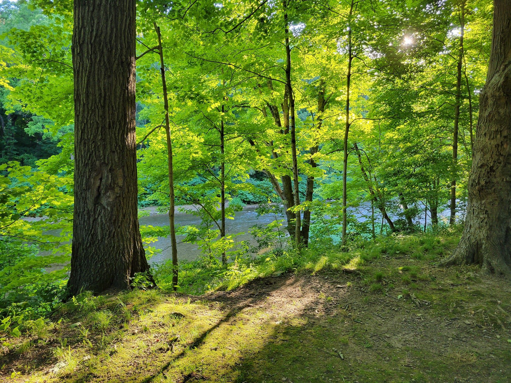 Beaver Creek Group Campground