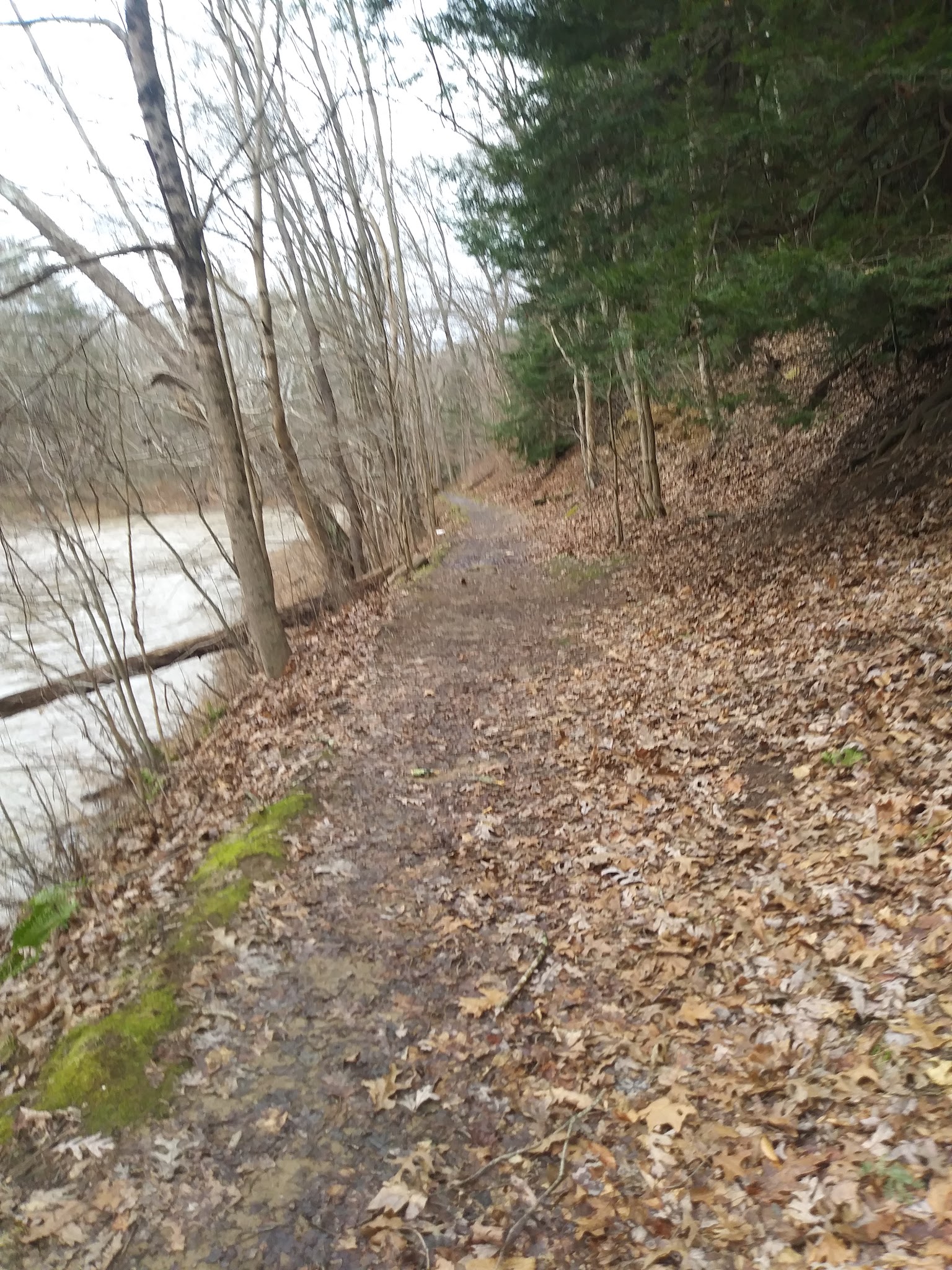 Beaver Creek Group Campground
