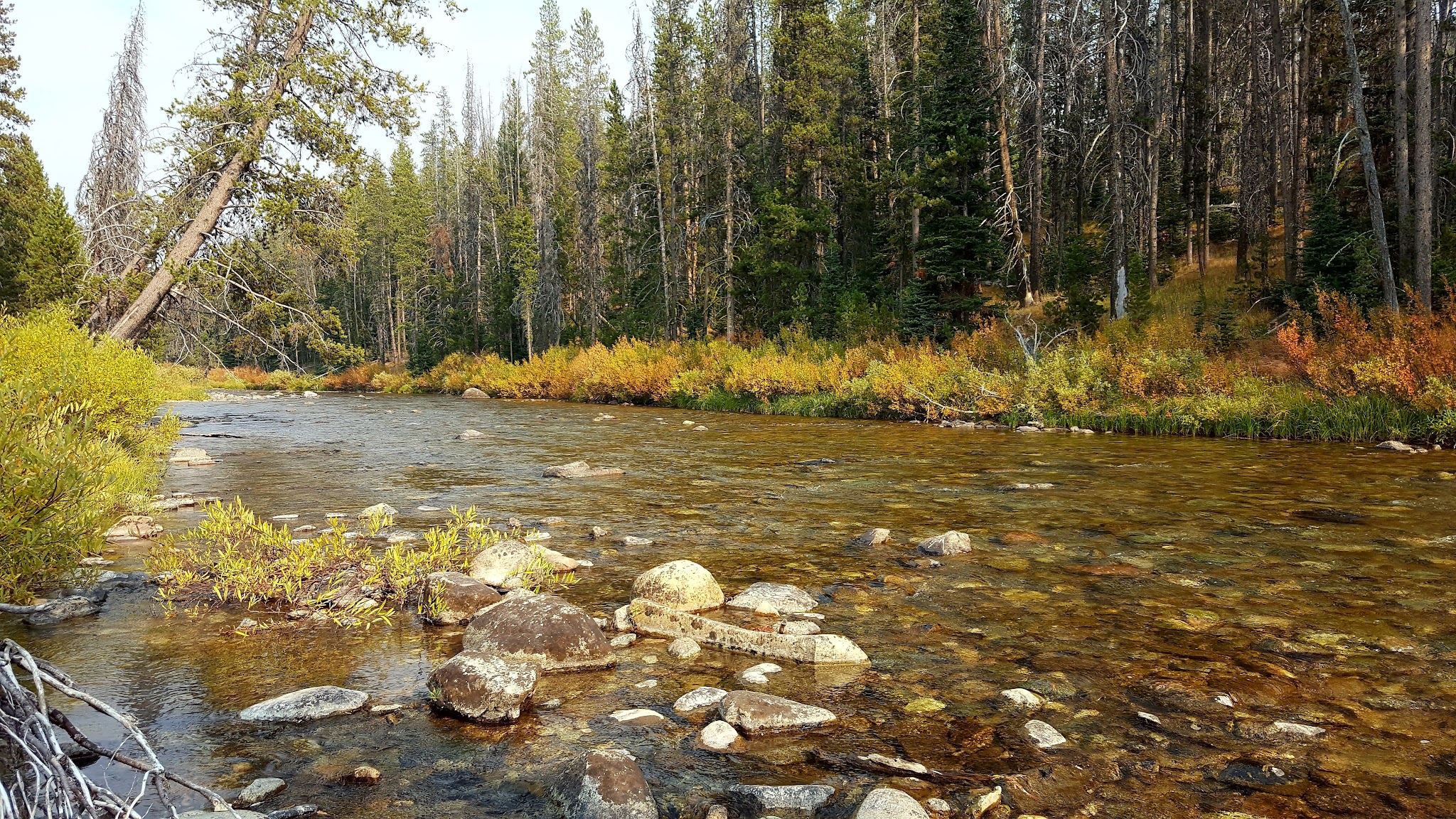 Beaver Creek Campground