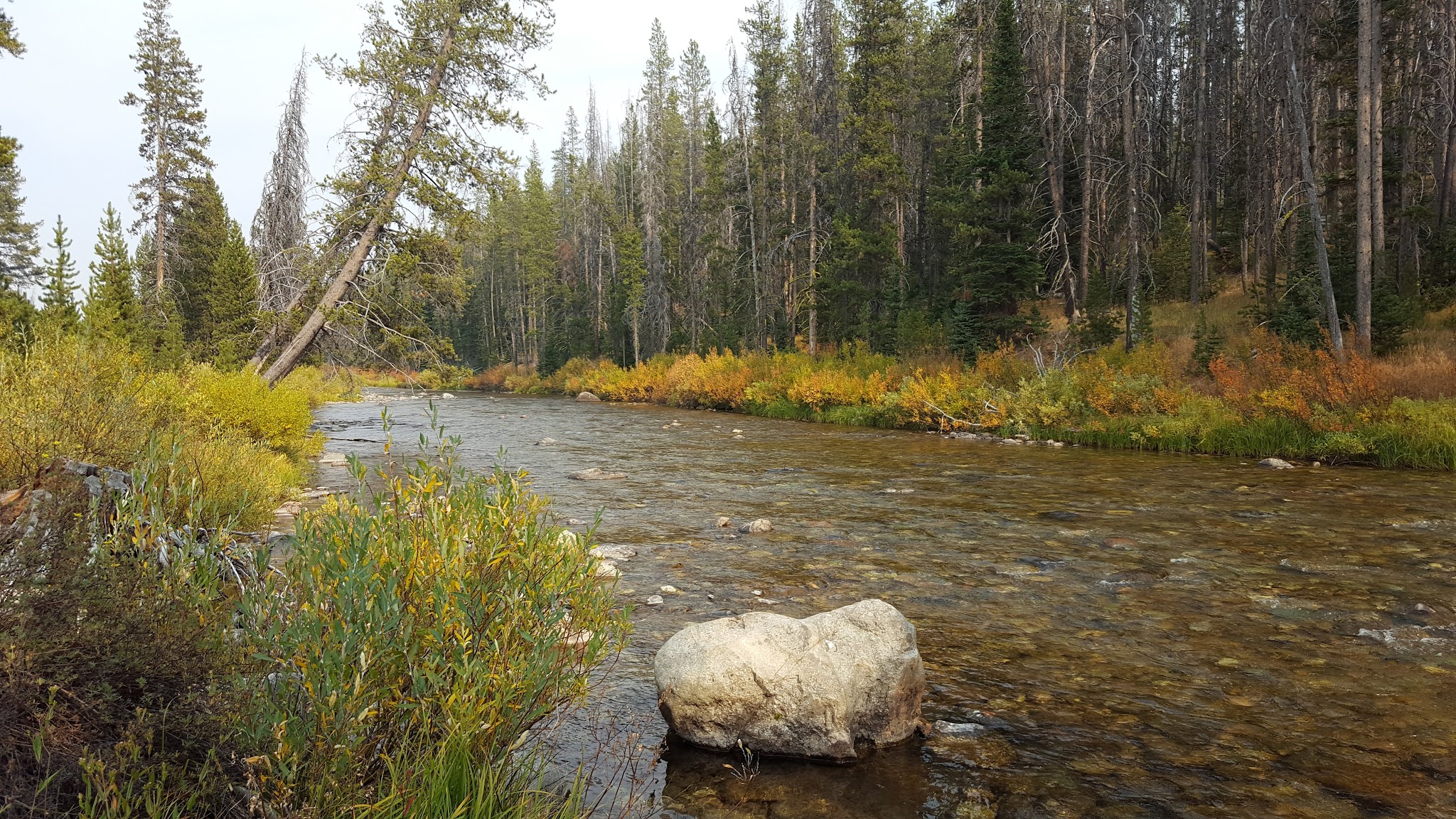Beaver Creek Campground