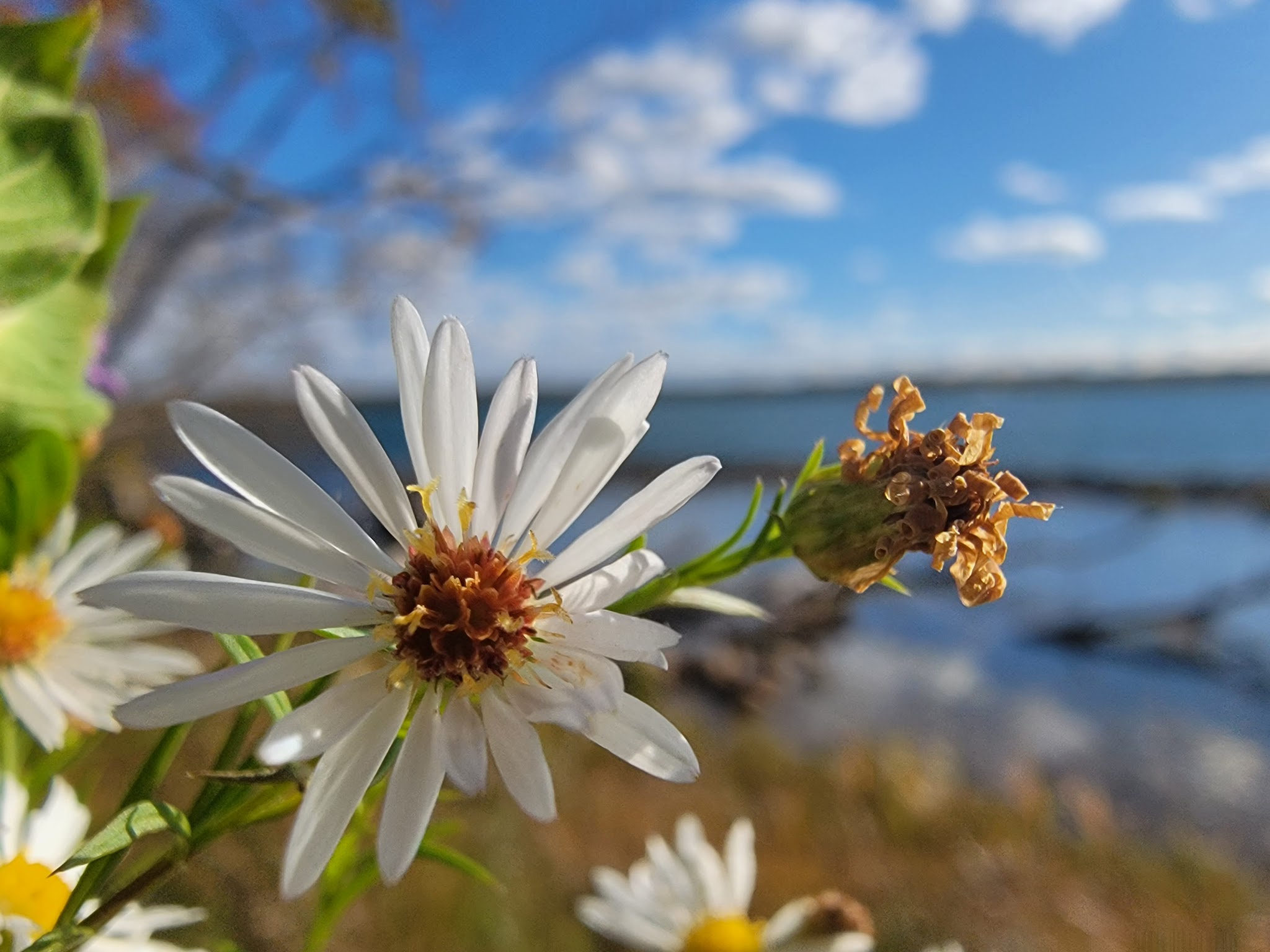 Beaver Island State Park