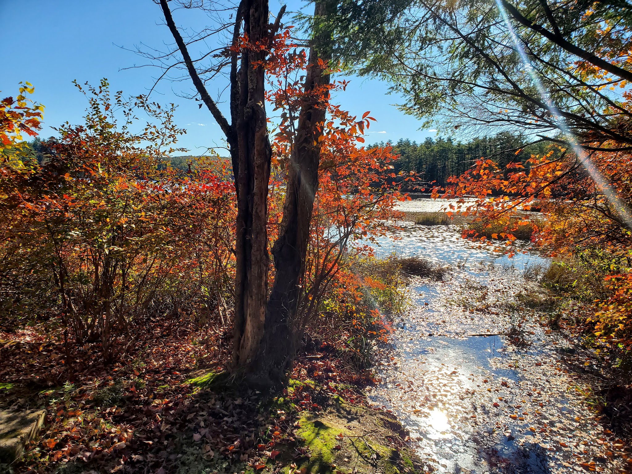 Bear Brook State Park