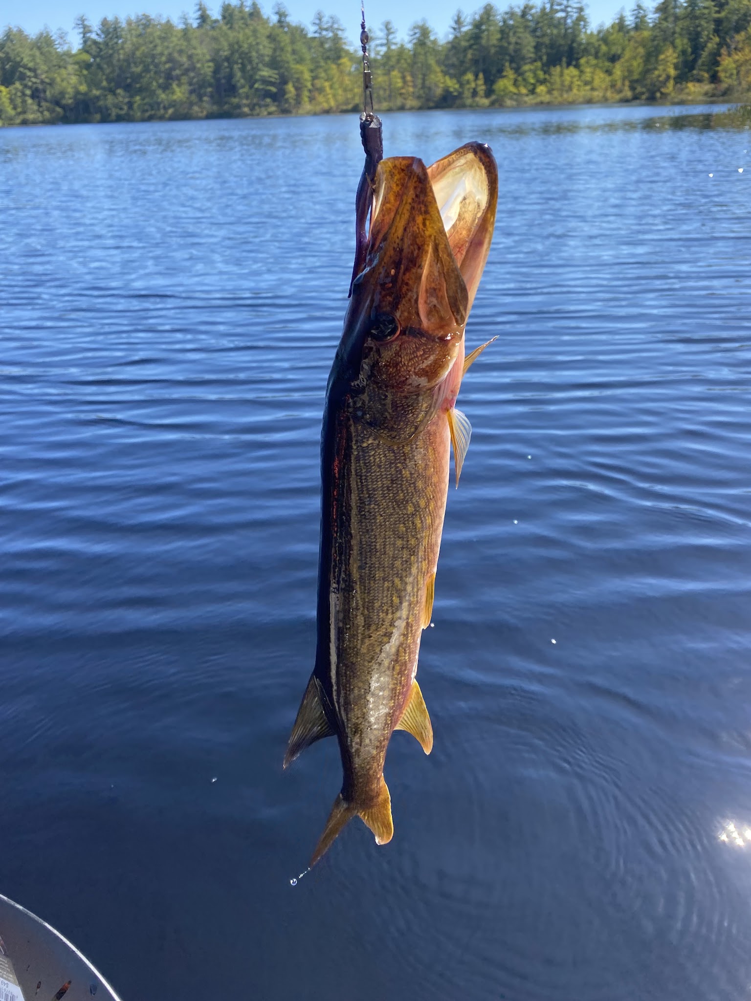 Bear Brook State Park
