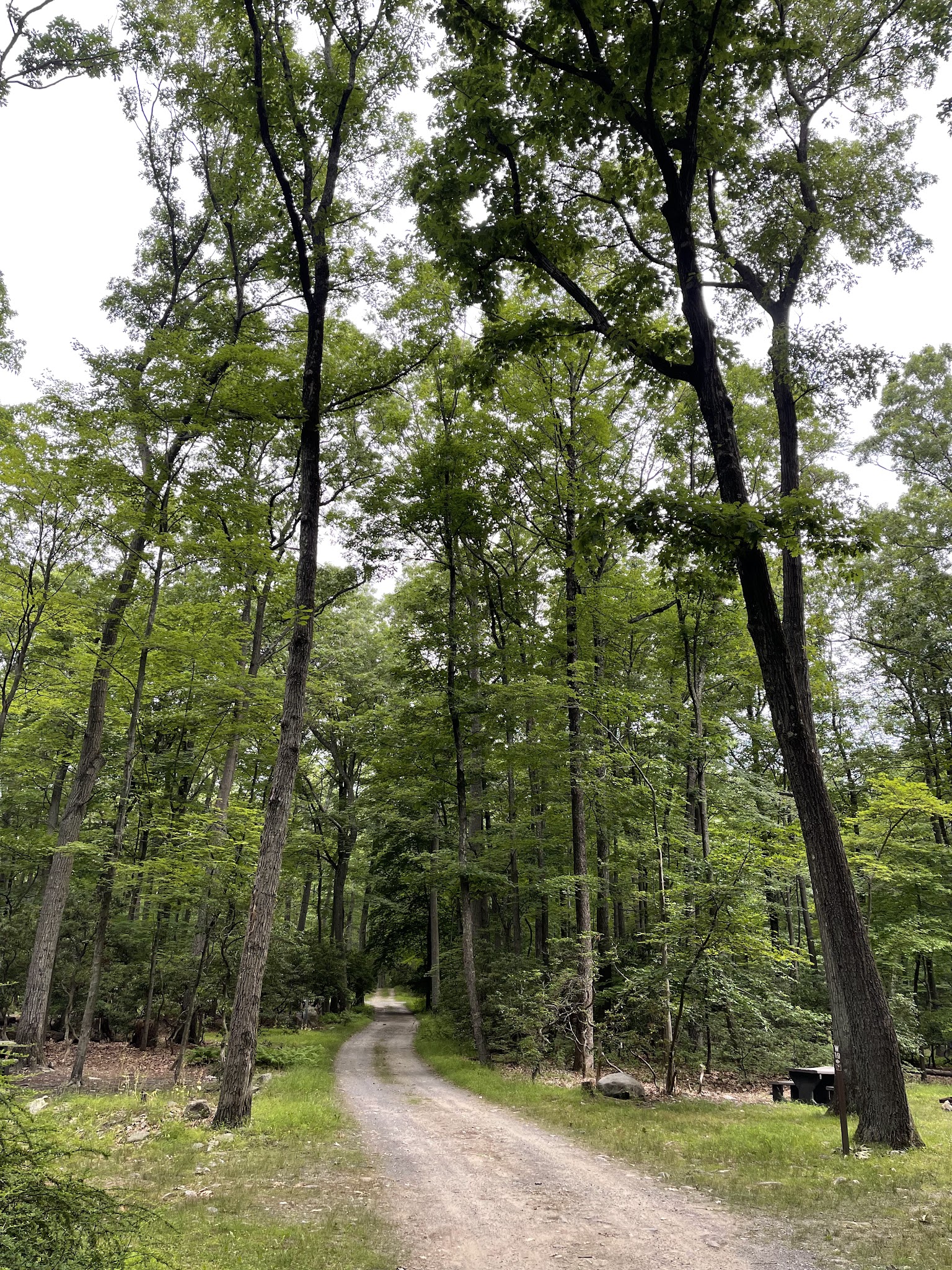 Beaver Pond State Park