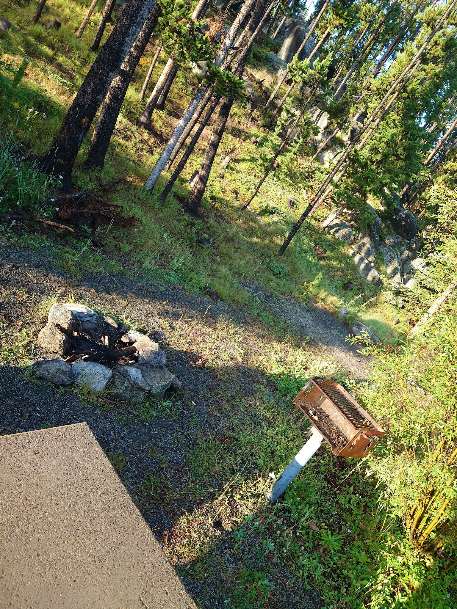 Beaverdam Campground And Picnic Area
