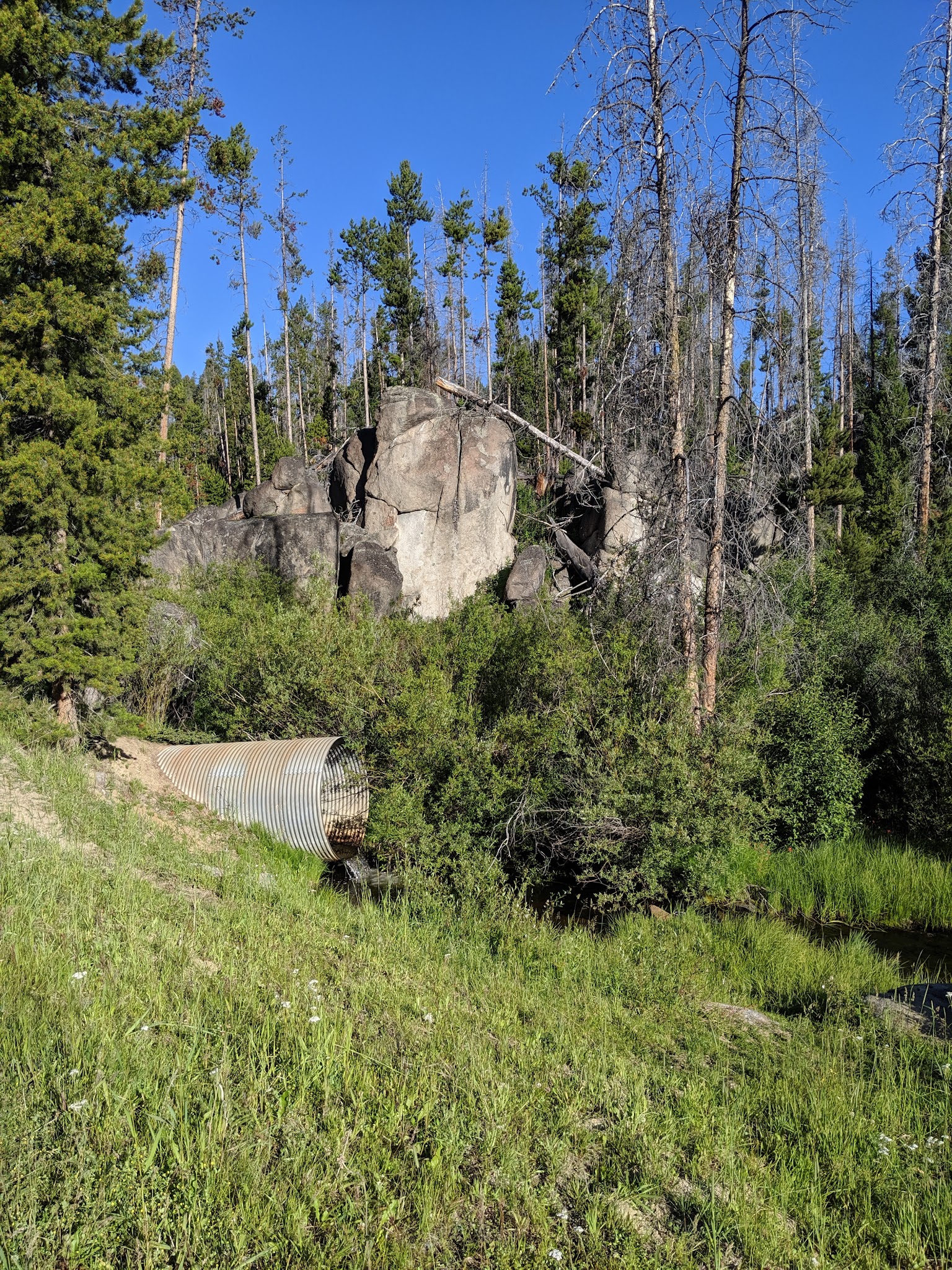 Beaverdam Campground And Picnic Area