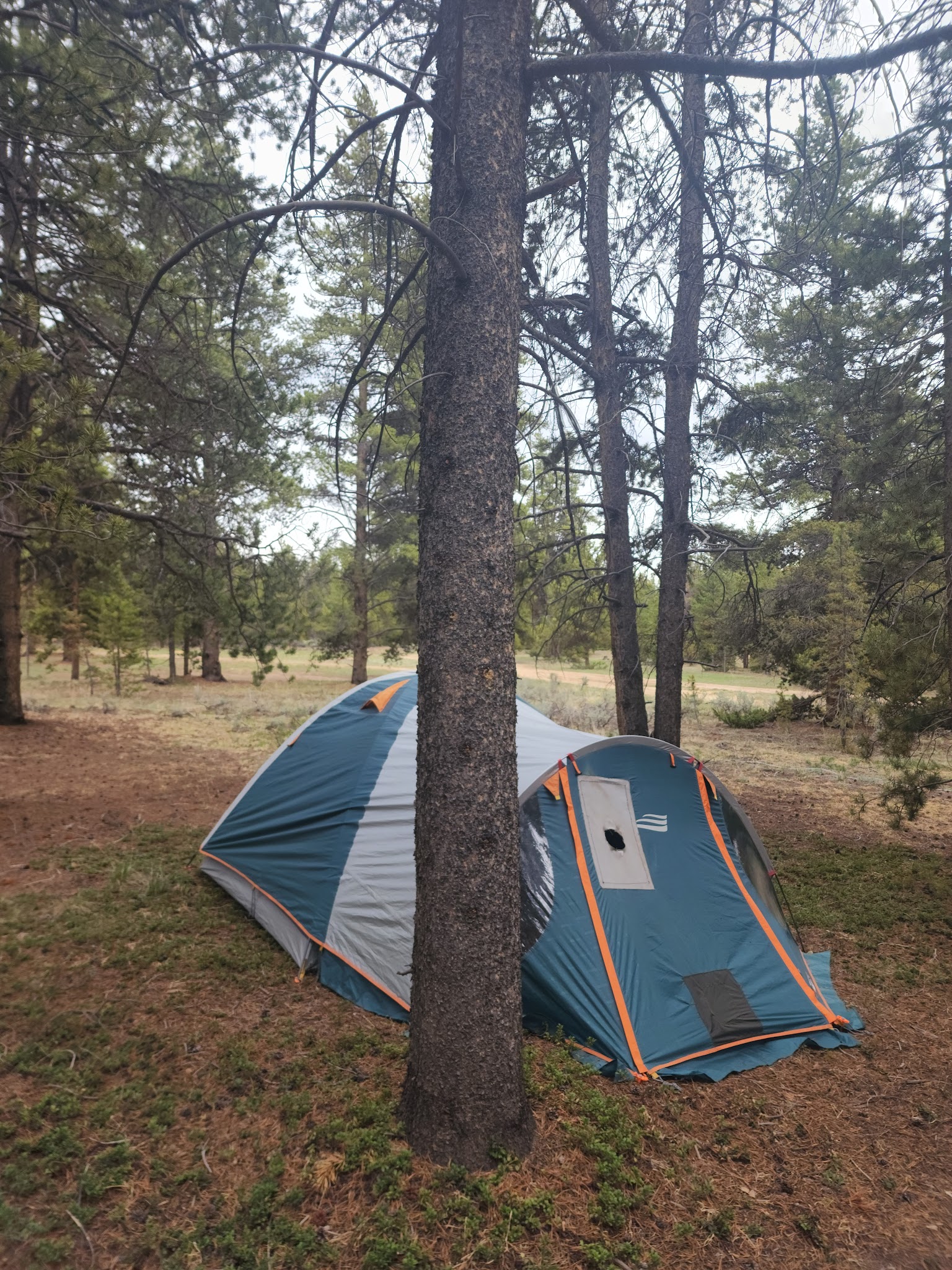 Belle Of Colorado Campground