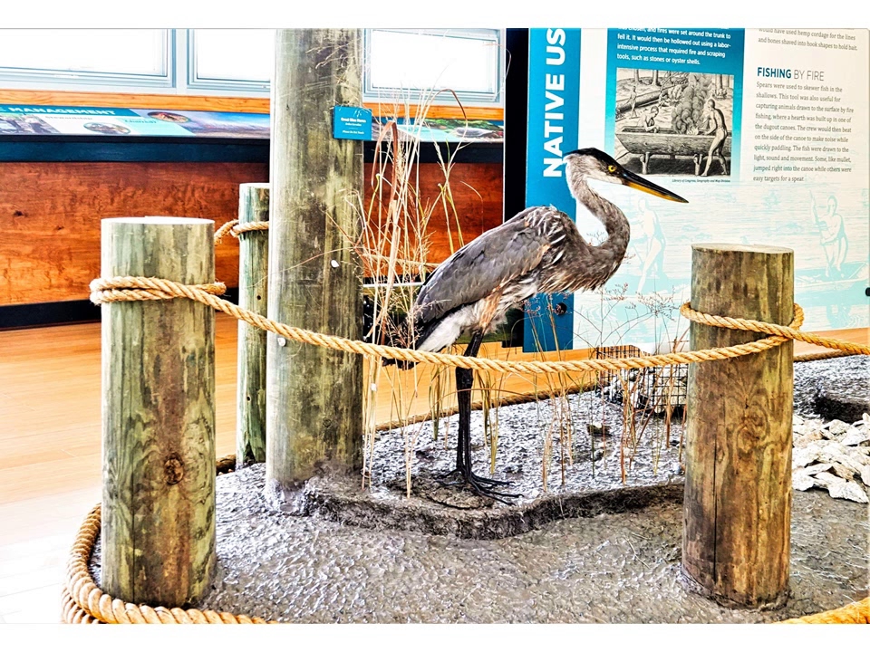 Belle Isle Campground