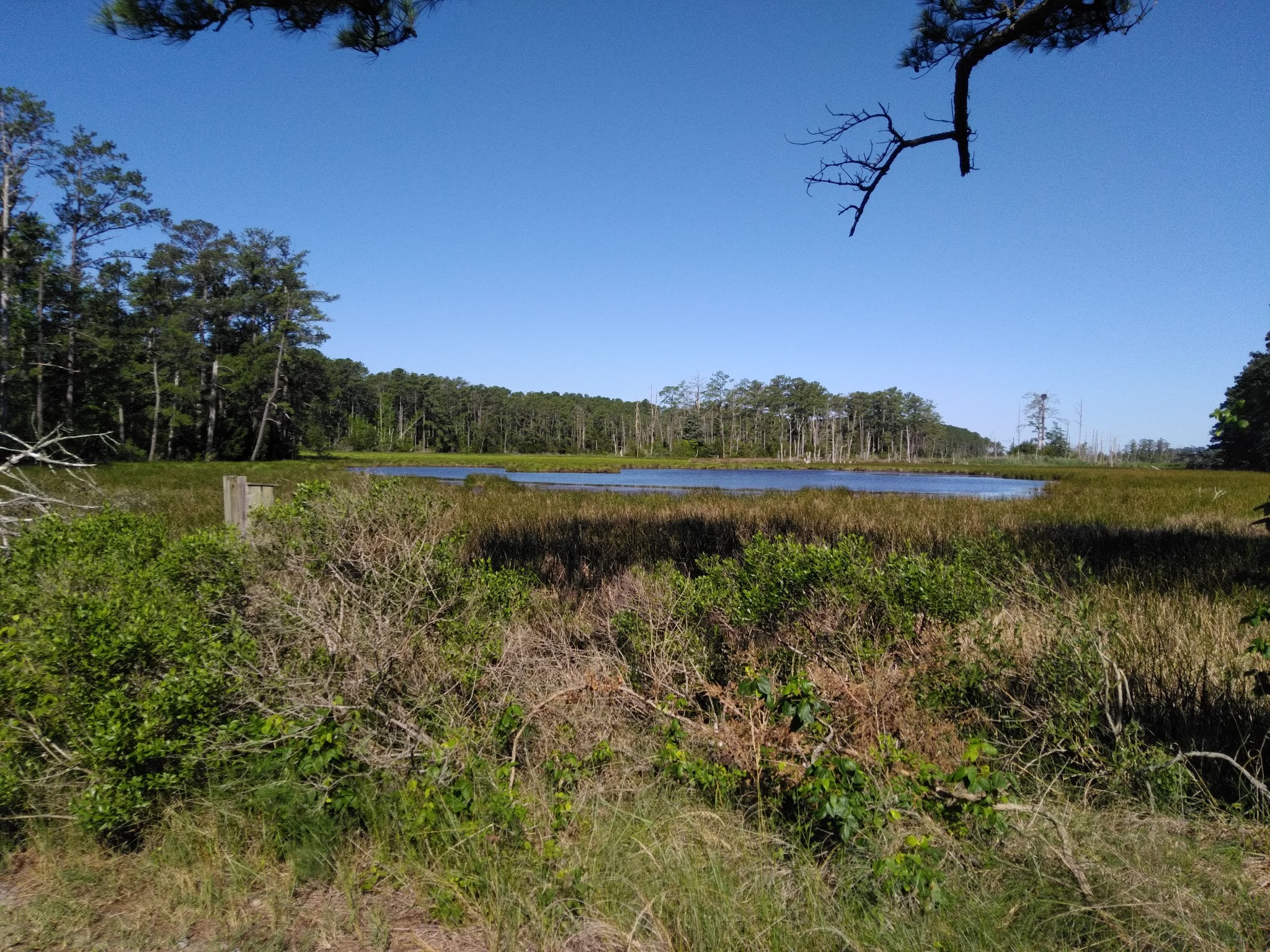 Belle Isle Campground
