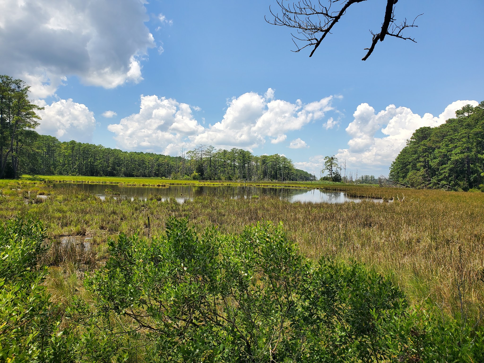 Belle Isle Campground