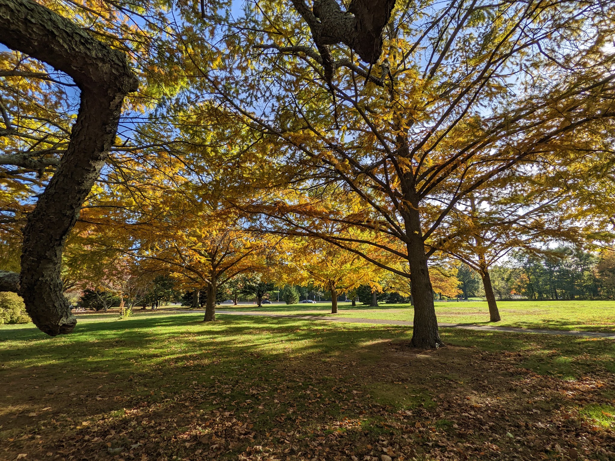 Belmont Lake State Park