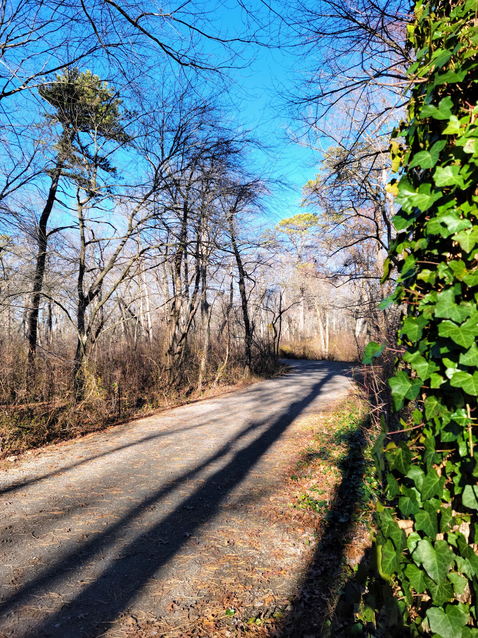 Belmont Lake State Park