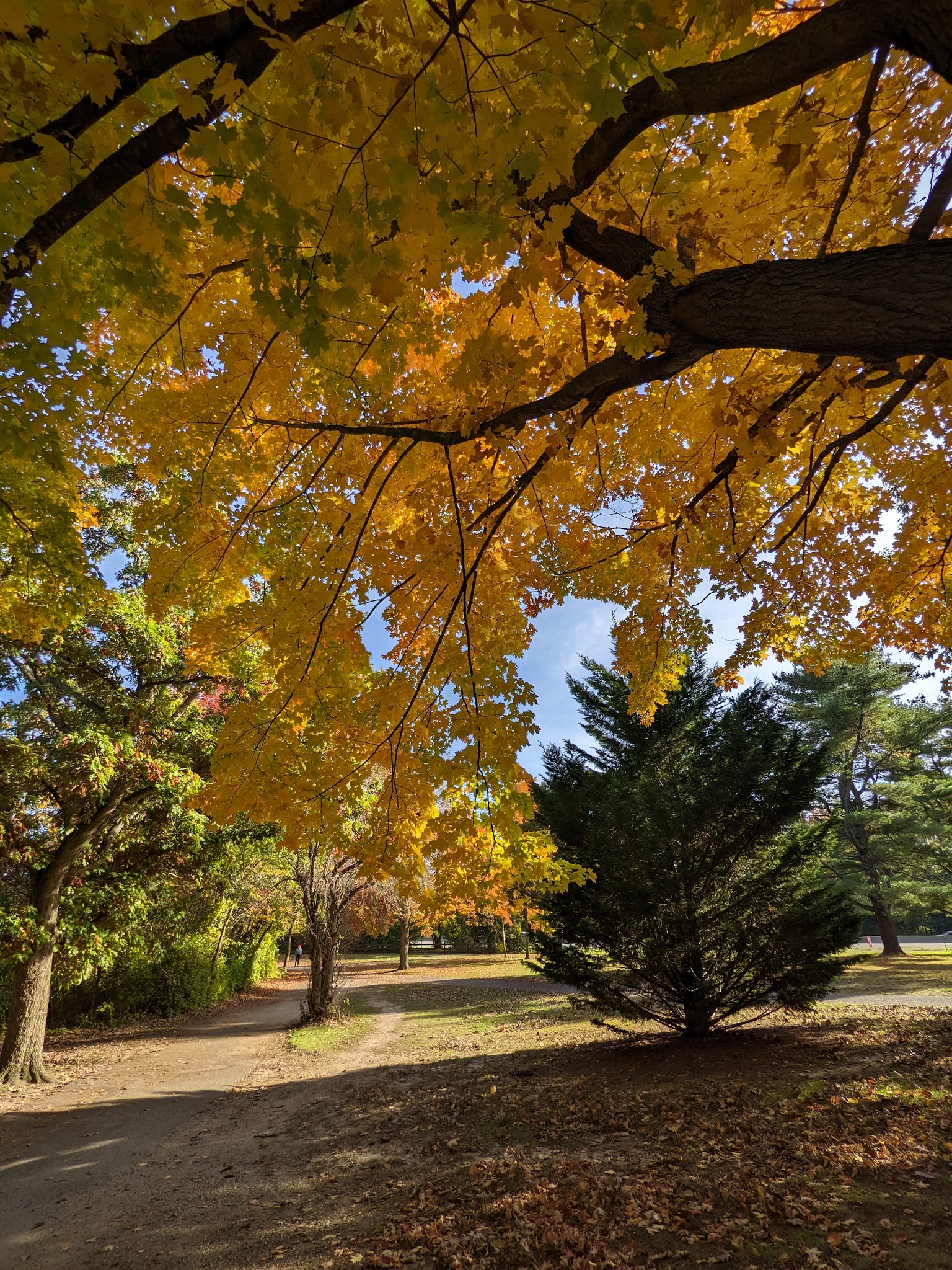 Belmont Lake State Park