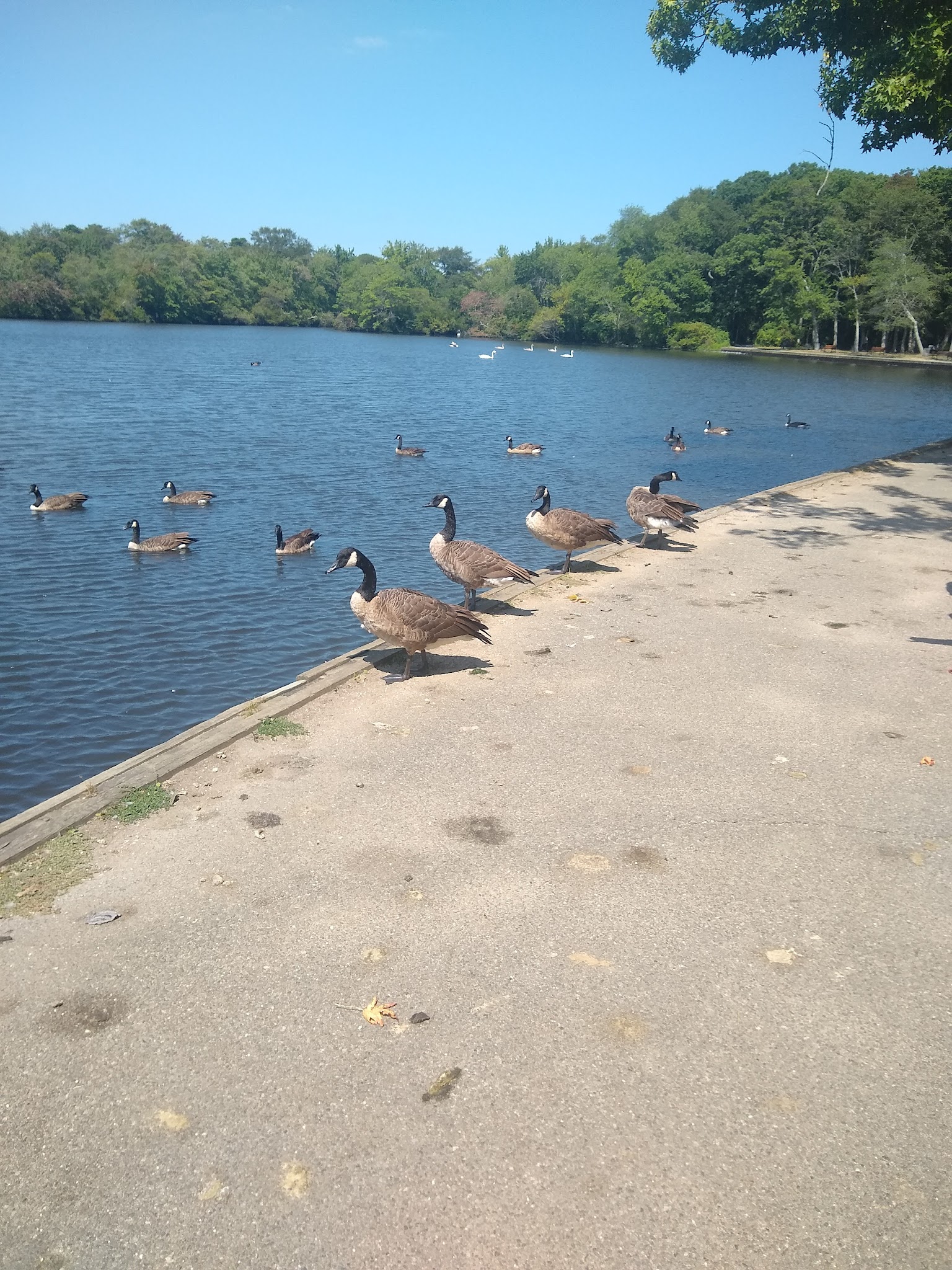 Belmont Lake State Park
