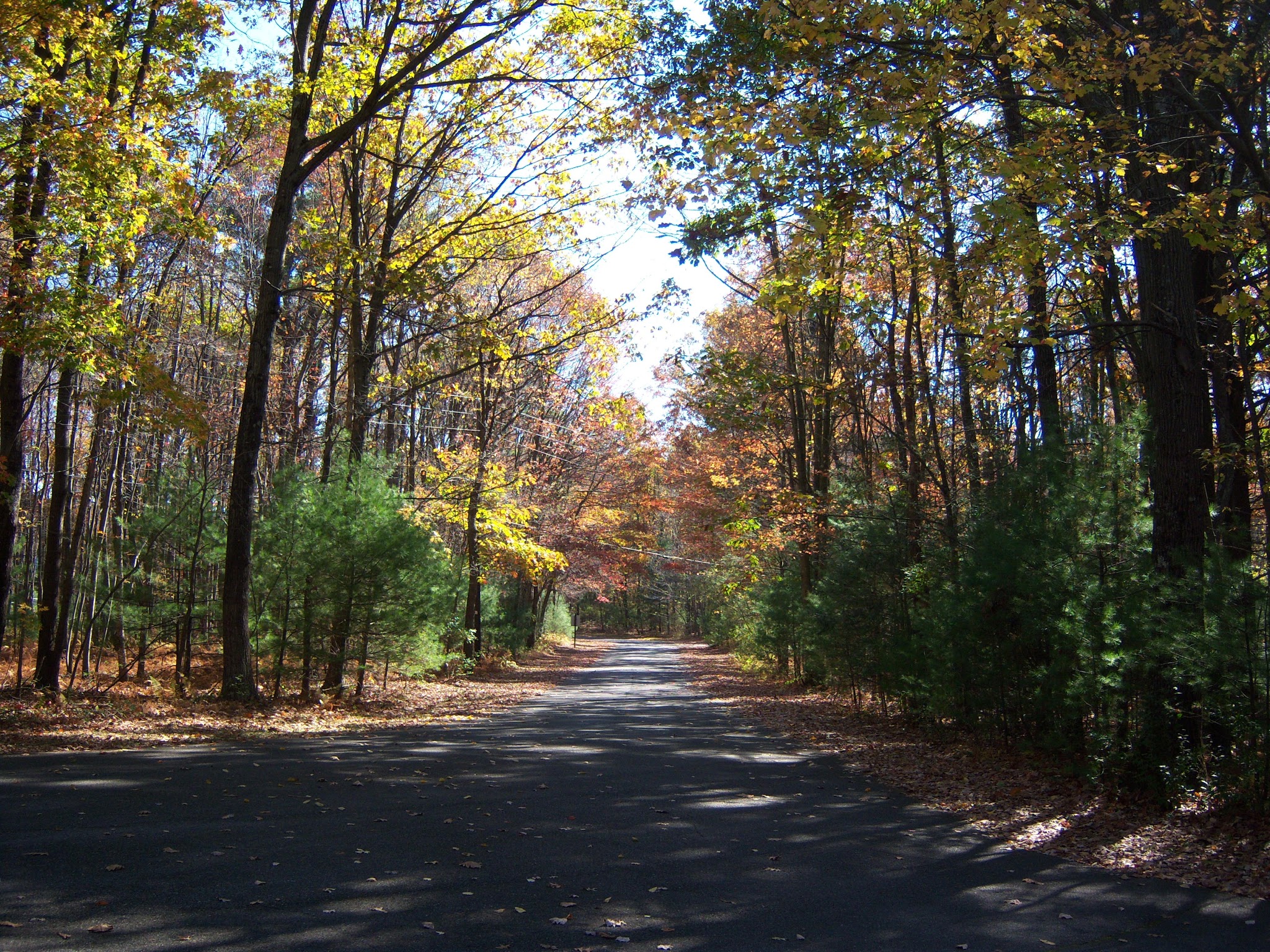Beltzville State Park