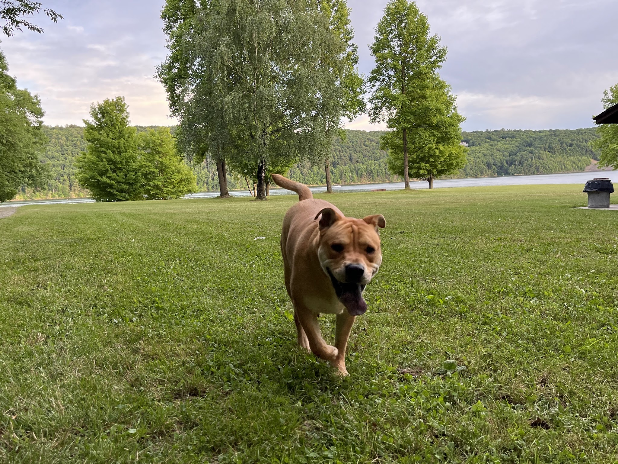 Beltzville State Park