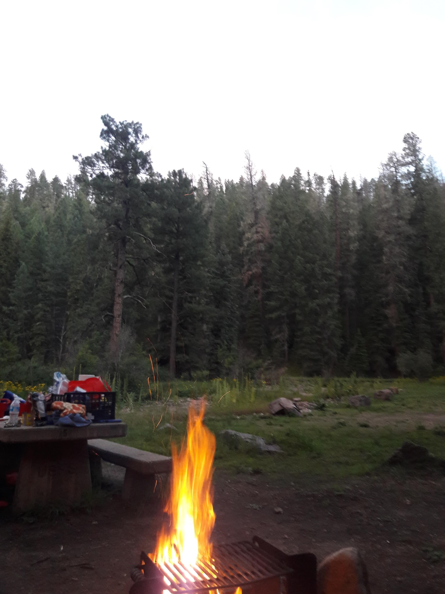 Ben Lilly Campground