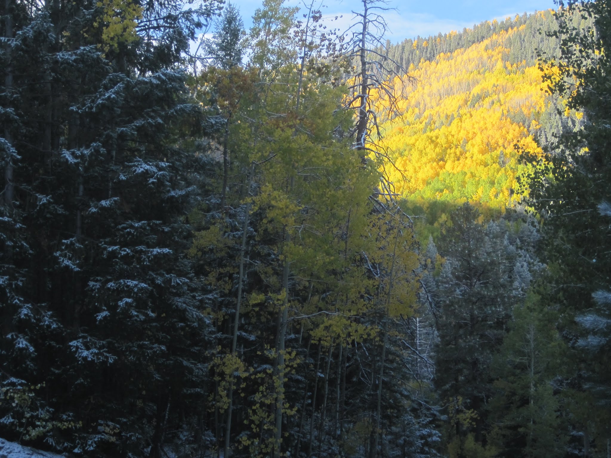 Ben Lilly Campground