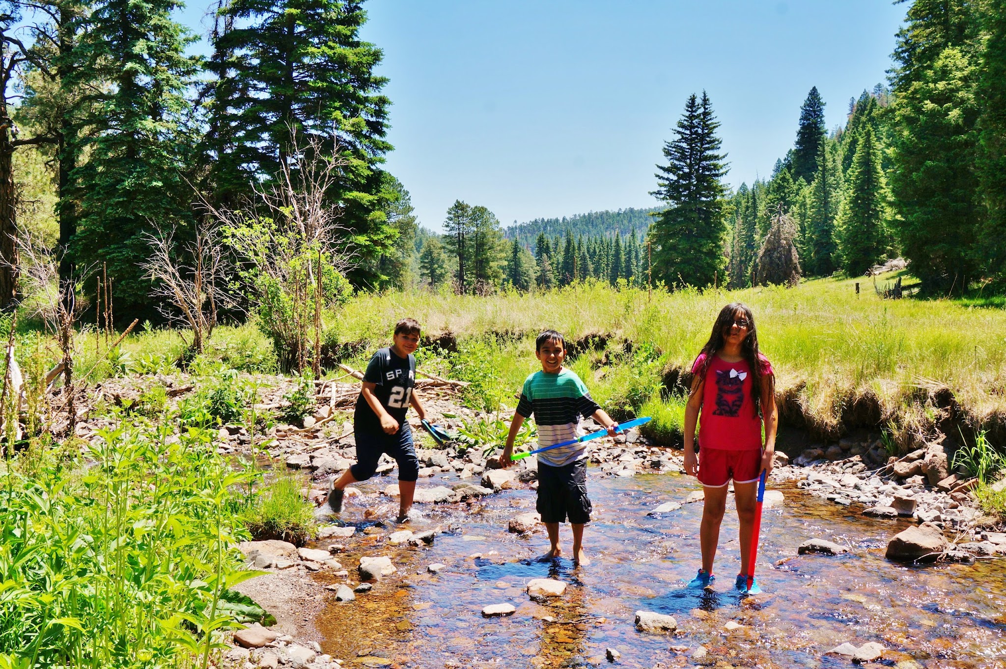 Ben Lilly Campground
