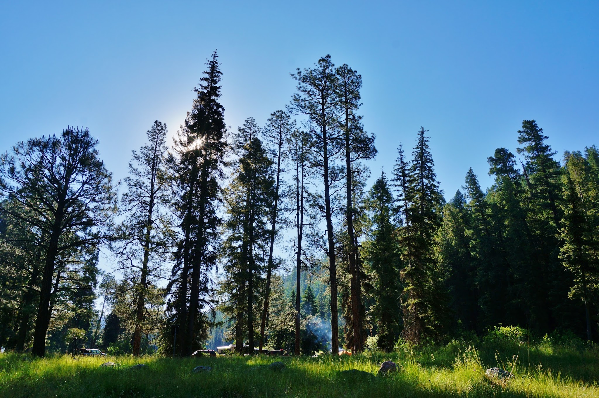 Ben Lilly Campground